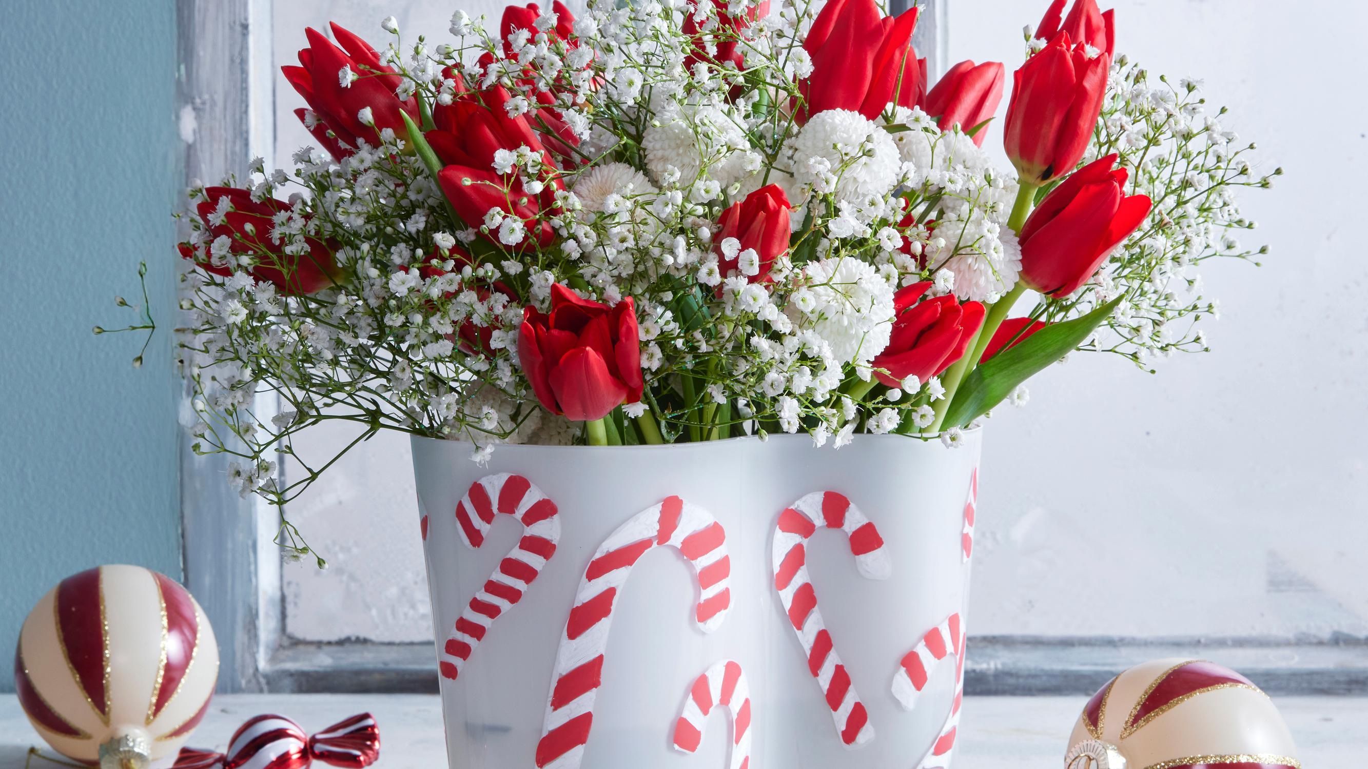 5 fresh ways to style amaryllis, tulips and poinsettias