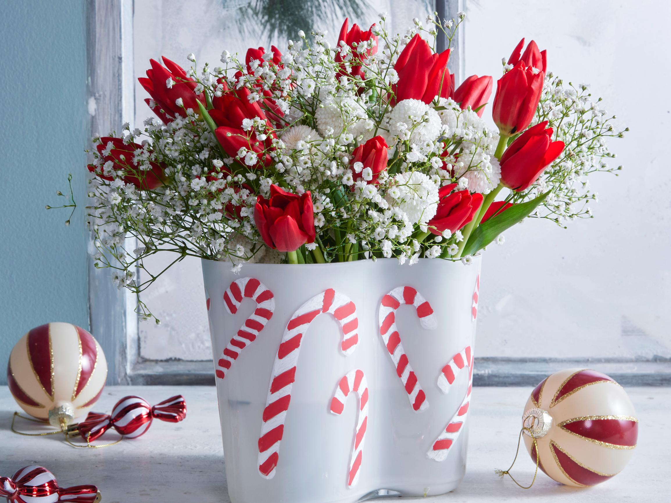5 fresh ways to style amaryllis, tulips and poinsettias