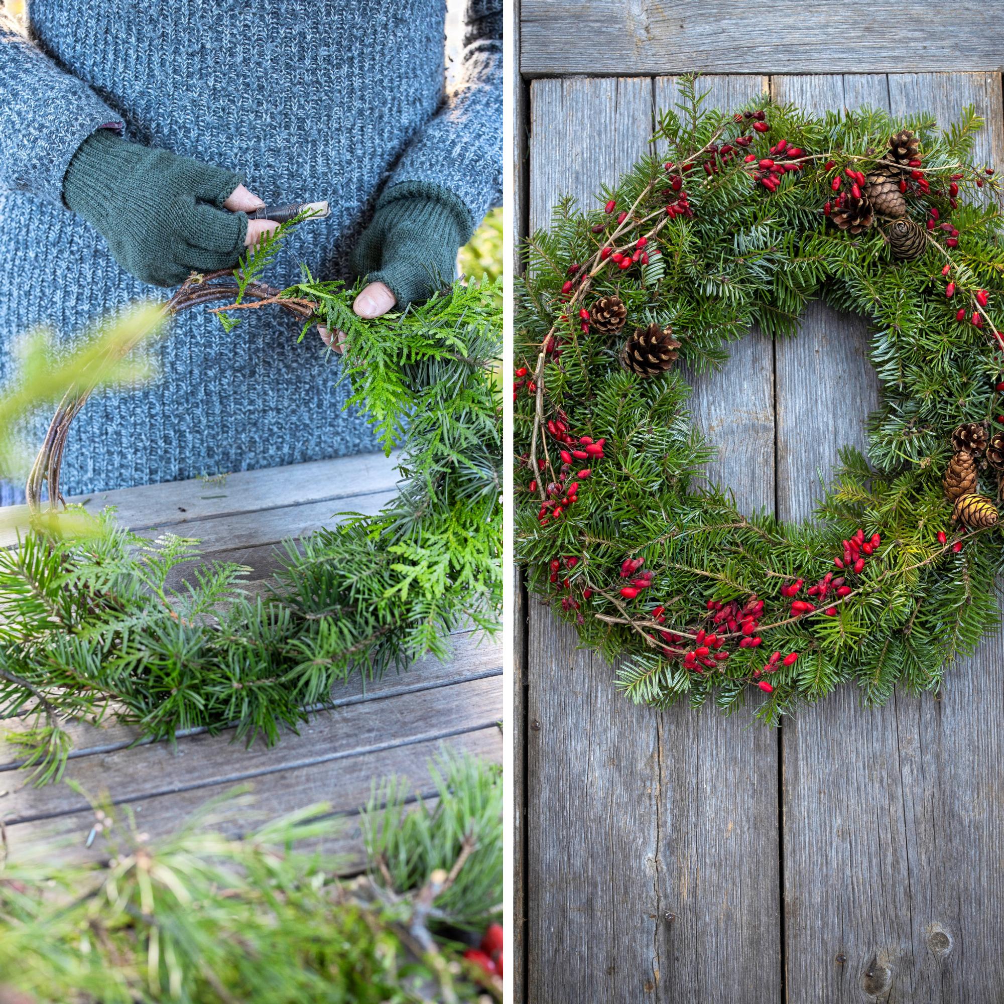 Dreaming of a wreath? Horticulturist Outi Tynys shows how to make one from your yard—or the wild