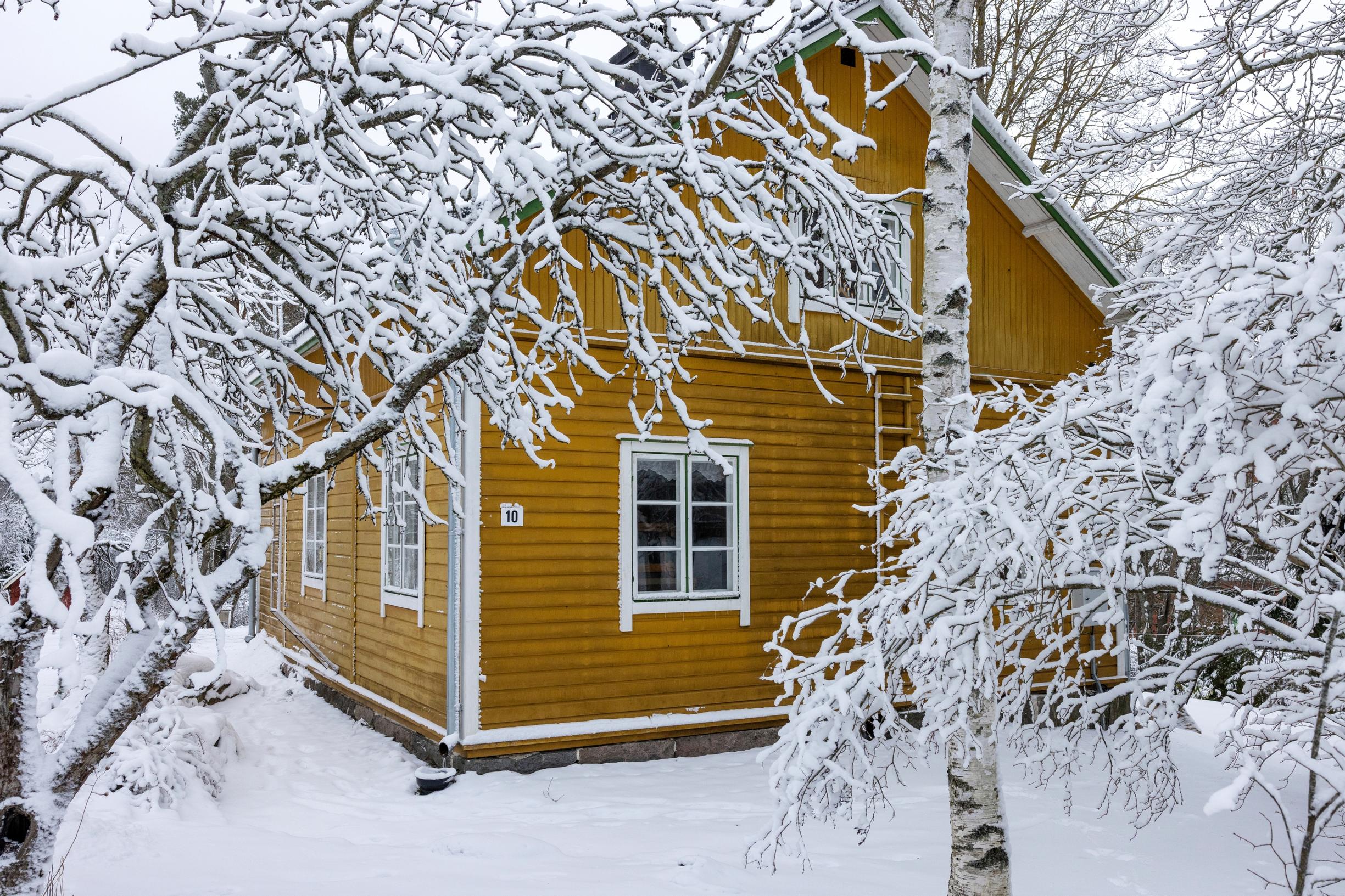 Yellow house among snow-laden trees