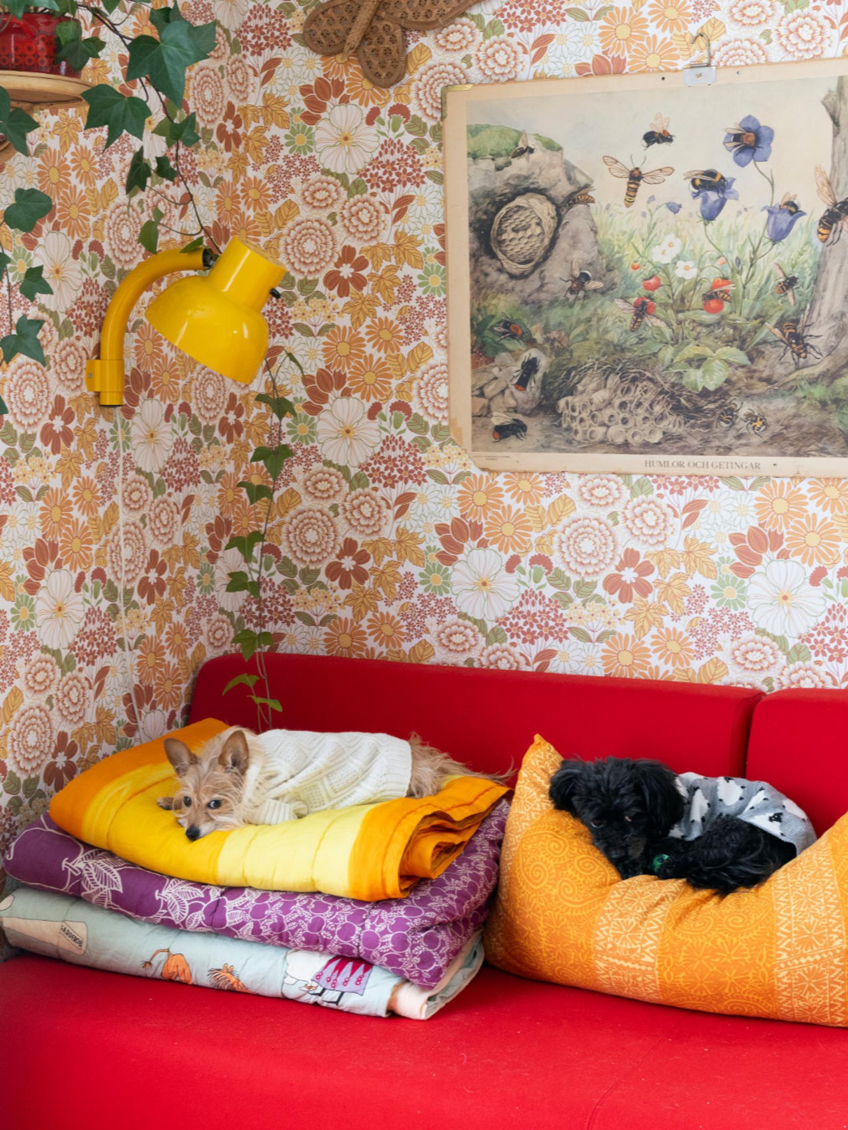 Inside Iina and Iiro’s colorful retro home full of charming thrift finds—“I want home to be a place that brings joy”