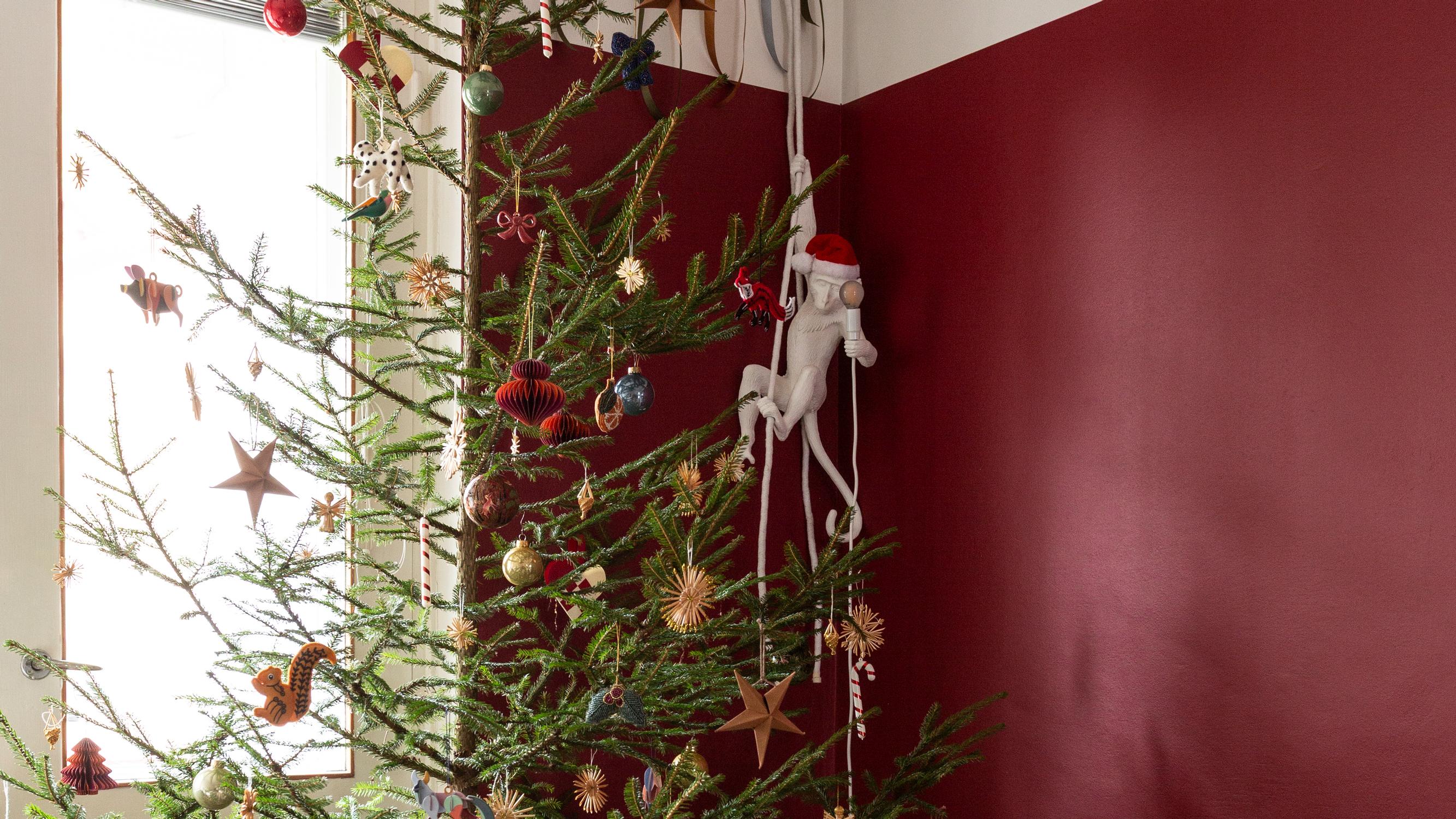 The “Ozempic tree” trend is everywhere—but for Finns, it's old news!