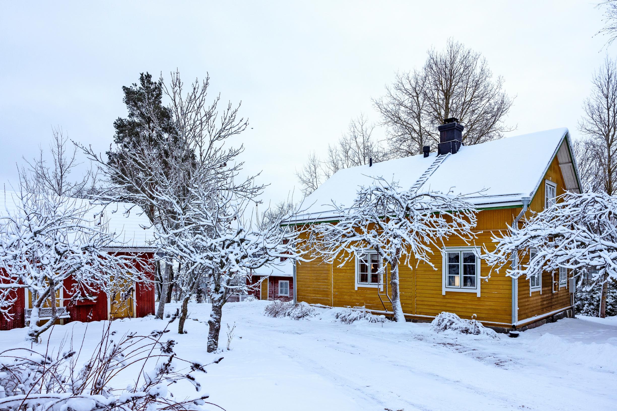 Yellow wooden house with its outbuildings