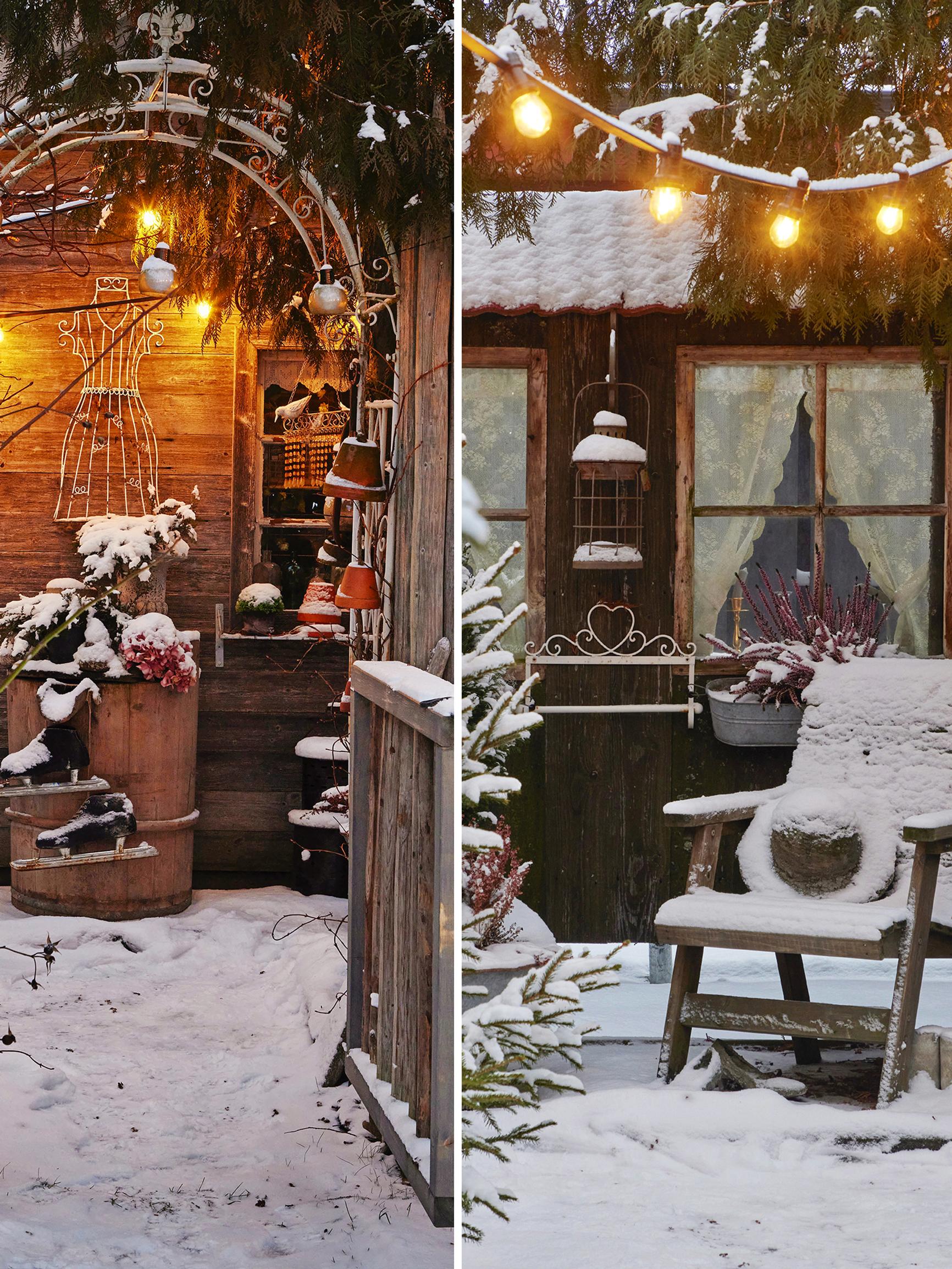 “Oh, you live in an amusement park!”—Meet the budget-friendly reclaimed garden that amazes year-round