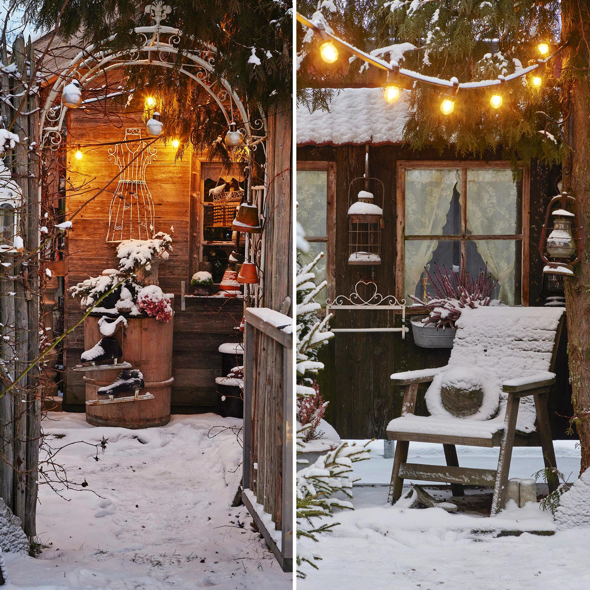 “Oh, you live in an amusement park!”—Meet the budget-friendly reclaimed garden that amazes year-round