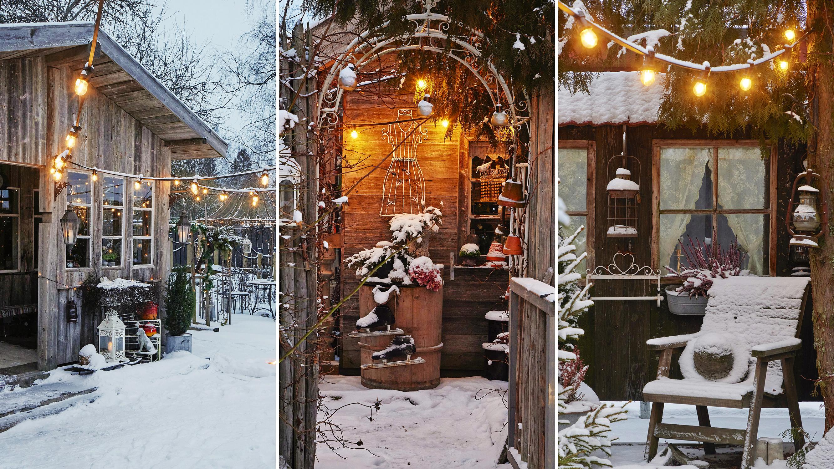 “Oh, you live in an amusement park!”—Meet the budget-friendly reclaimed garden that amazes year-round