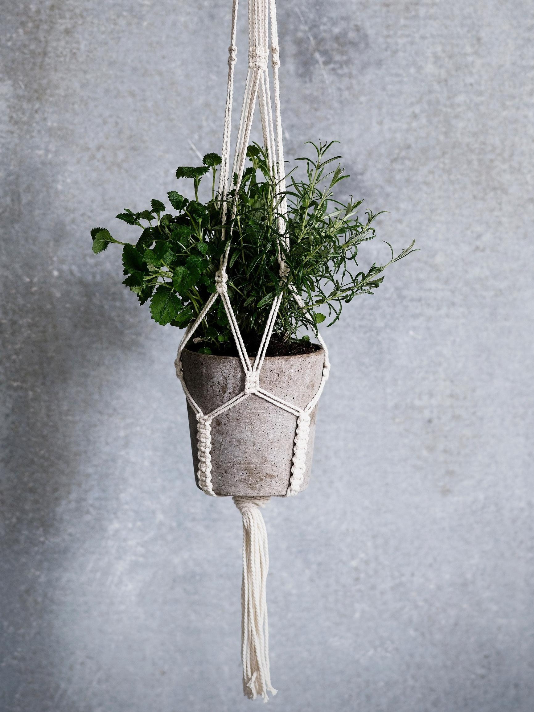 The trendy macrame plant hanger—here’s how to make your own