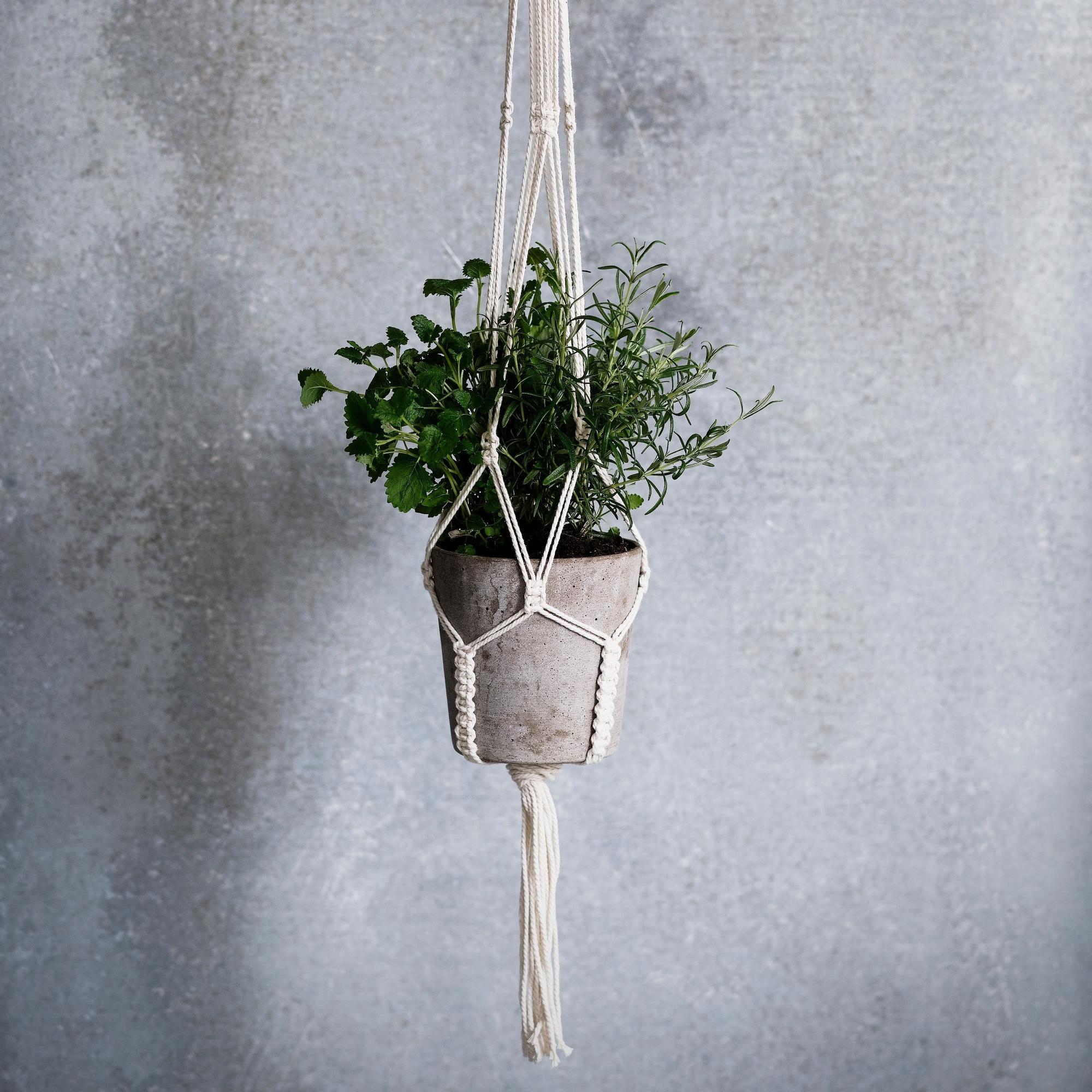 The trendy macrame plant hanger—here’s how to make your own