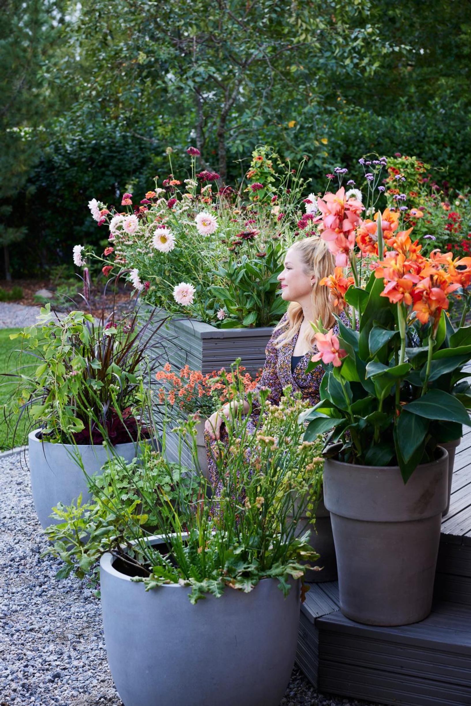 A lavish container garden