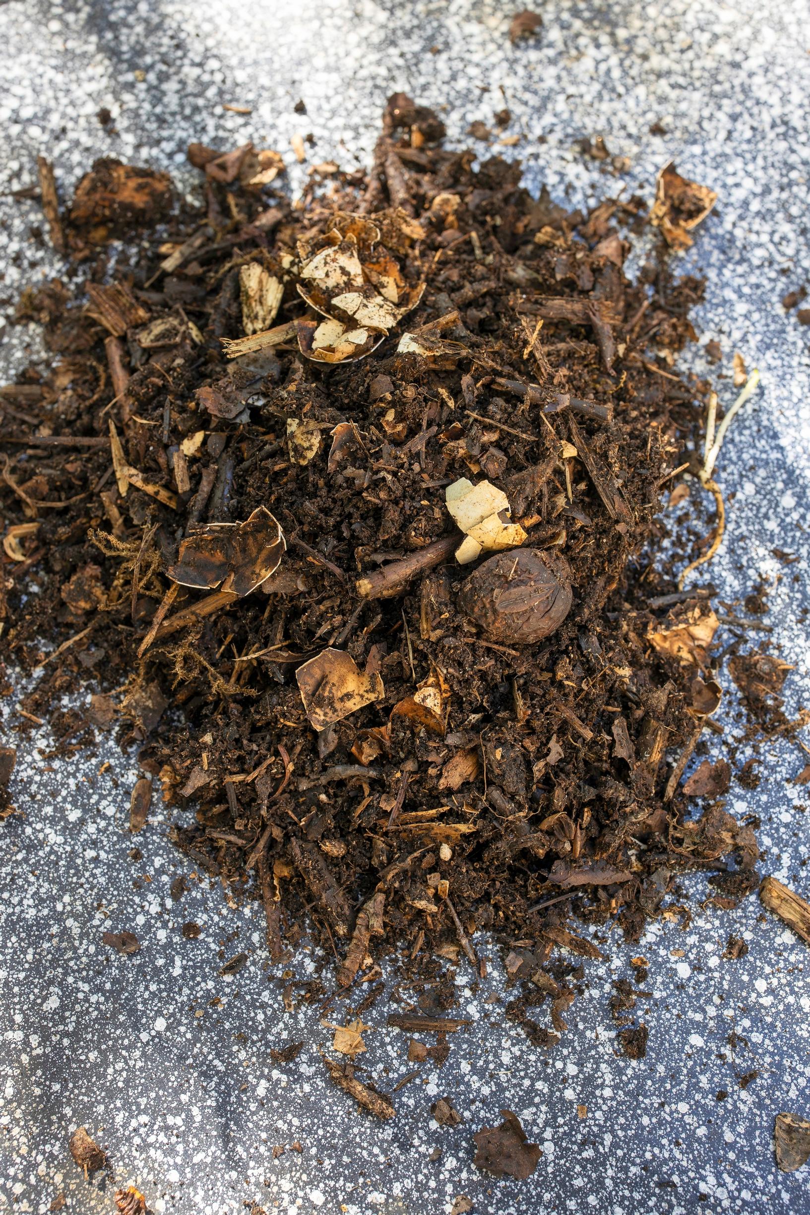 Using compost soil