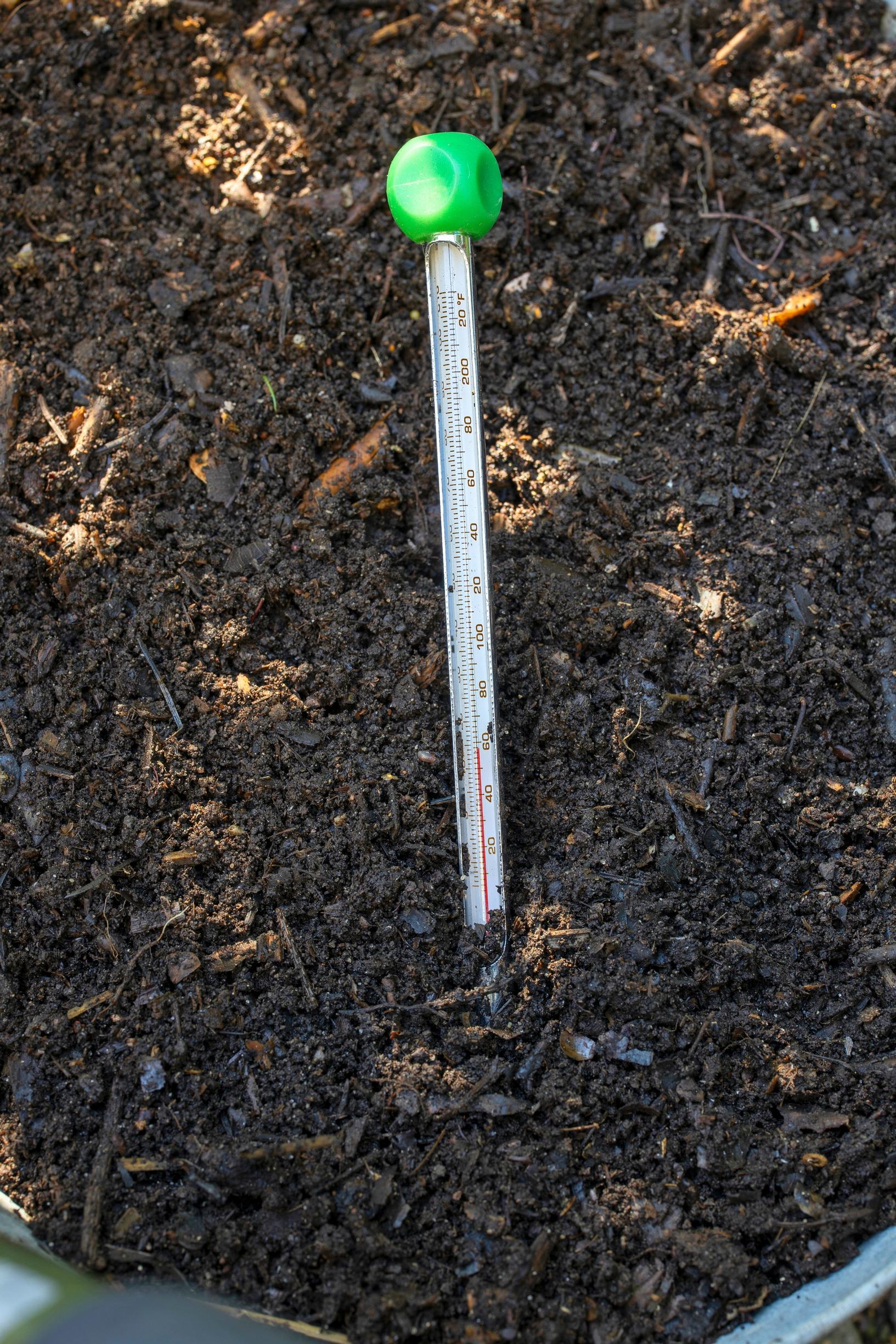 Using compost soil