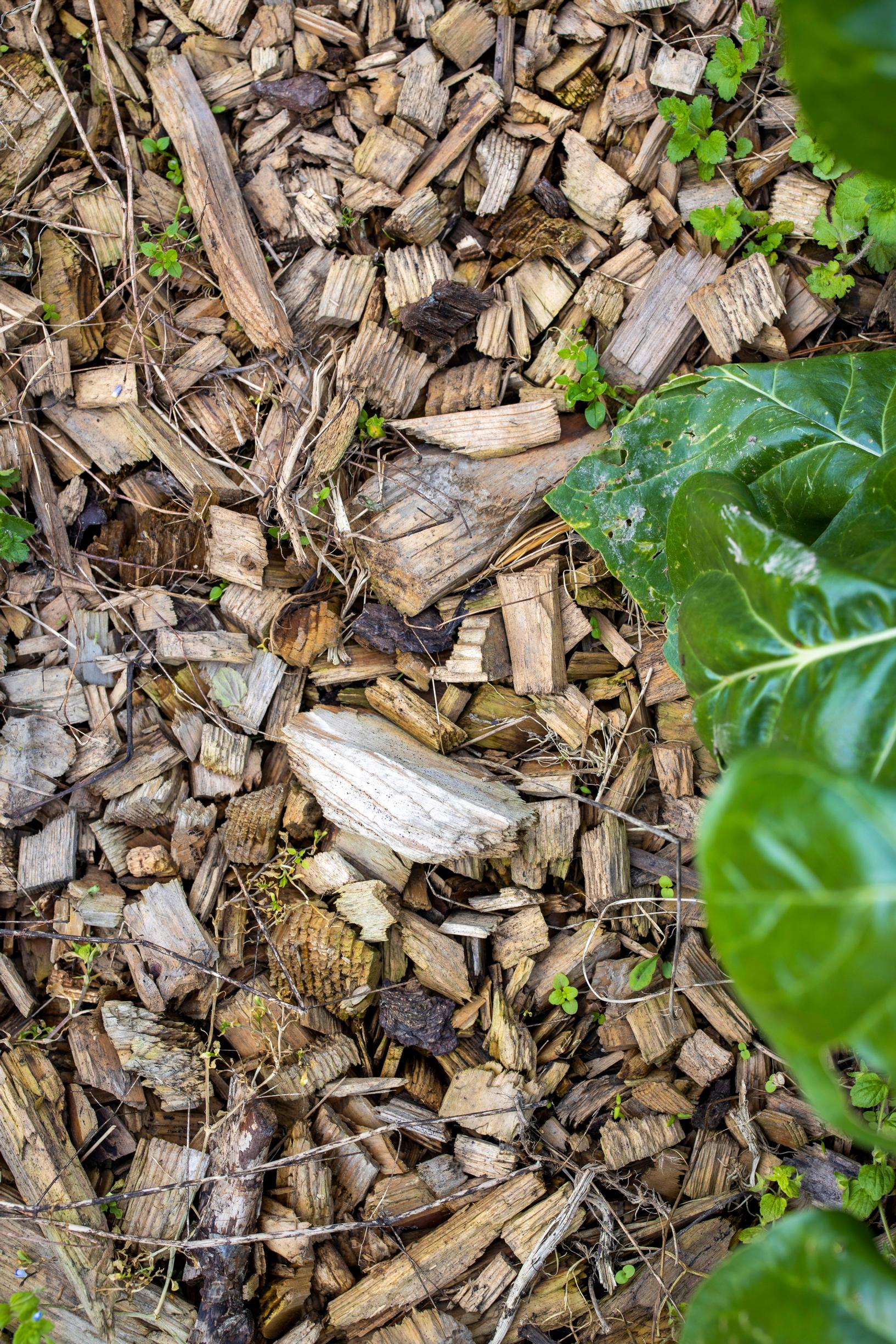 mulch