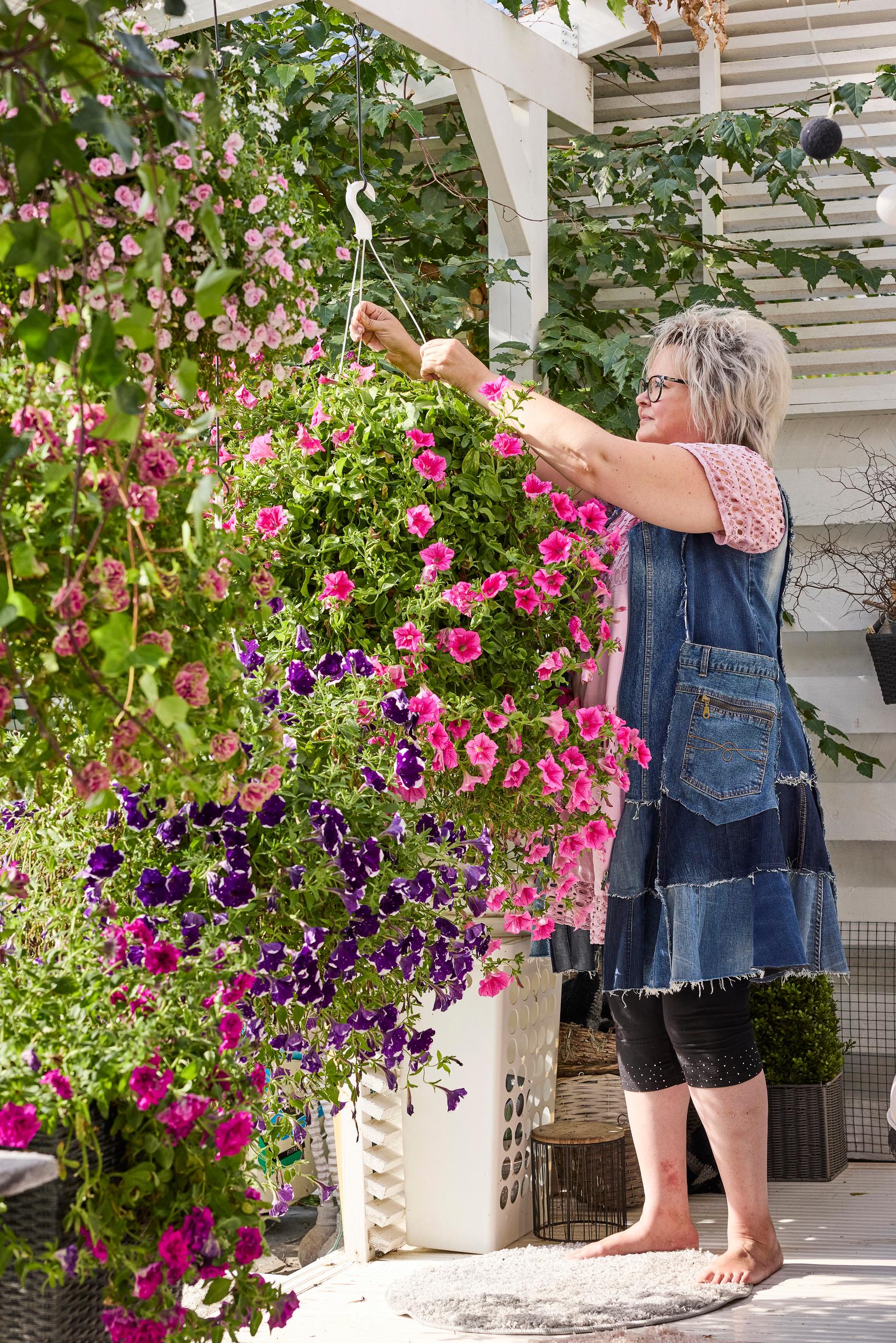 summer-flower hanging baskets
