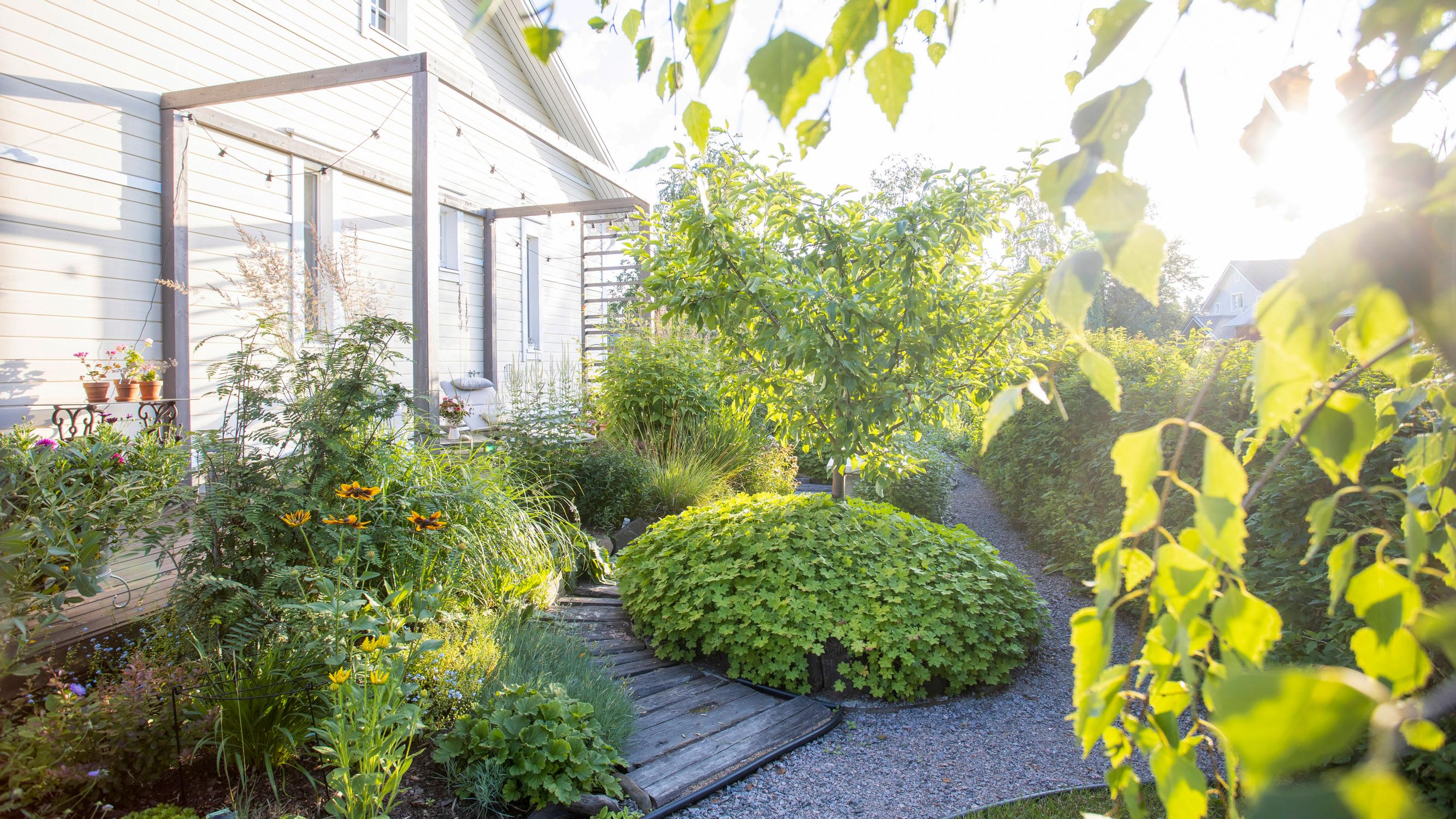 How gardener Heli makes her yard flourish despite clay soil, drought, and harsh winters