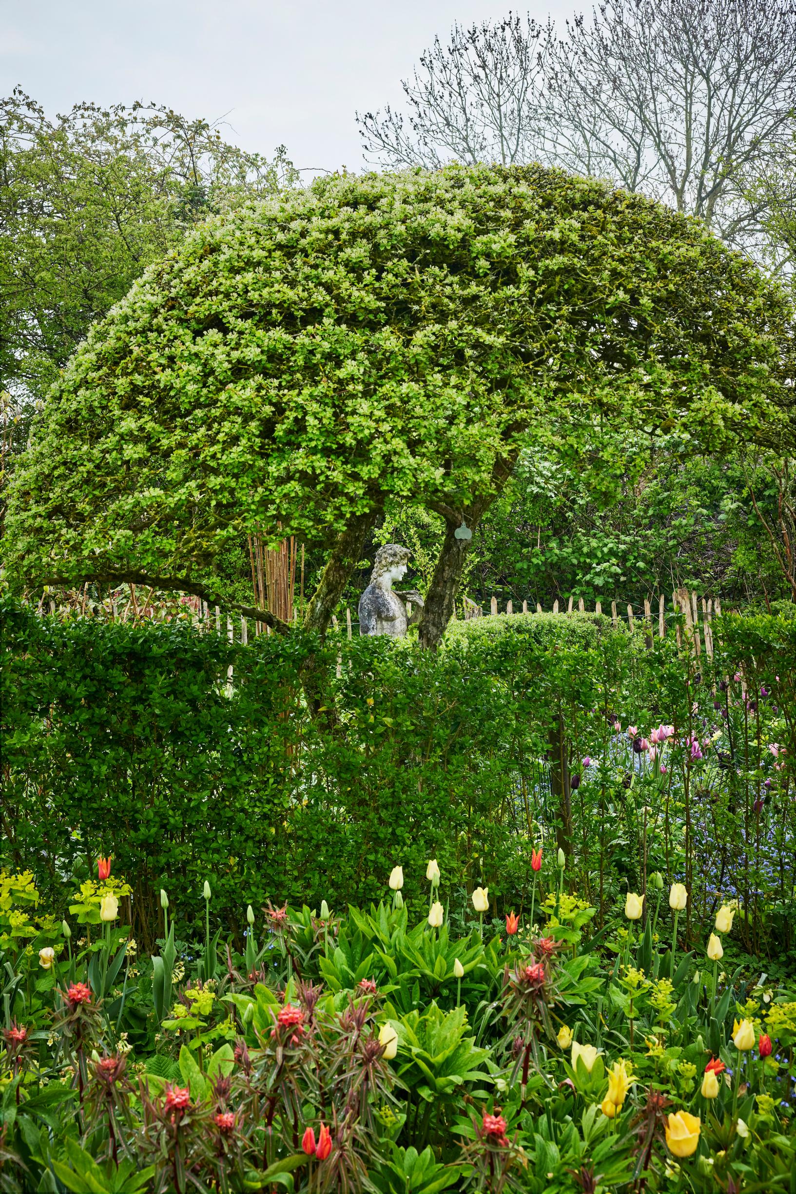 Jacqueline van der Kloet’s garden