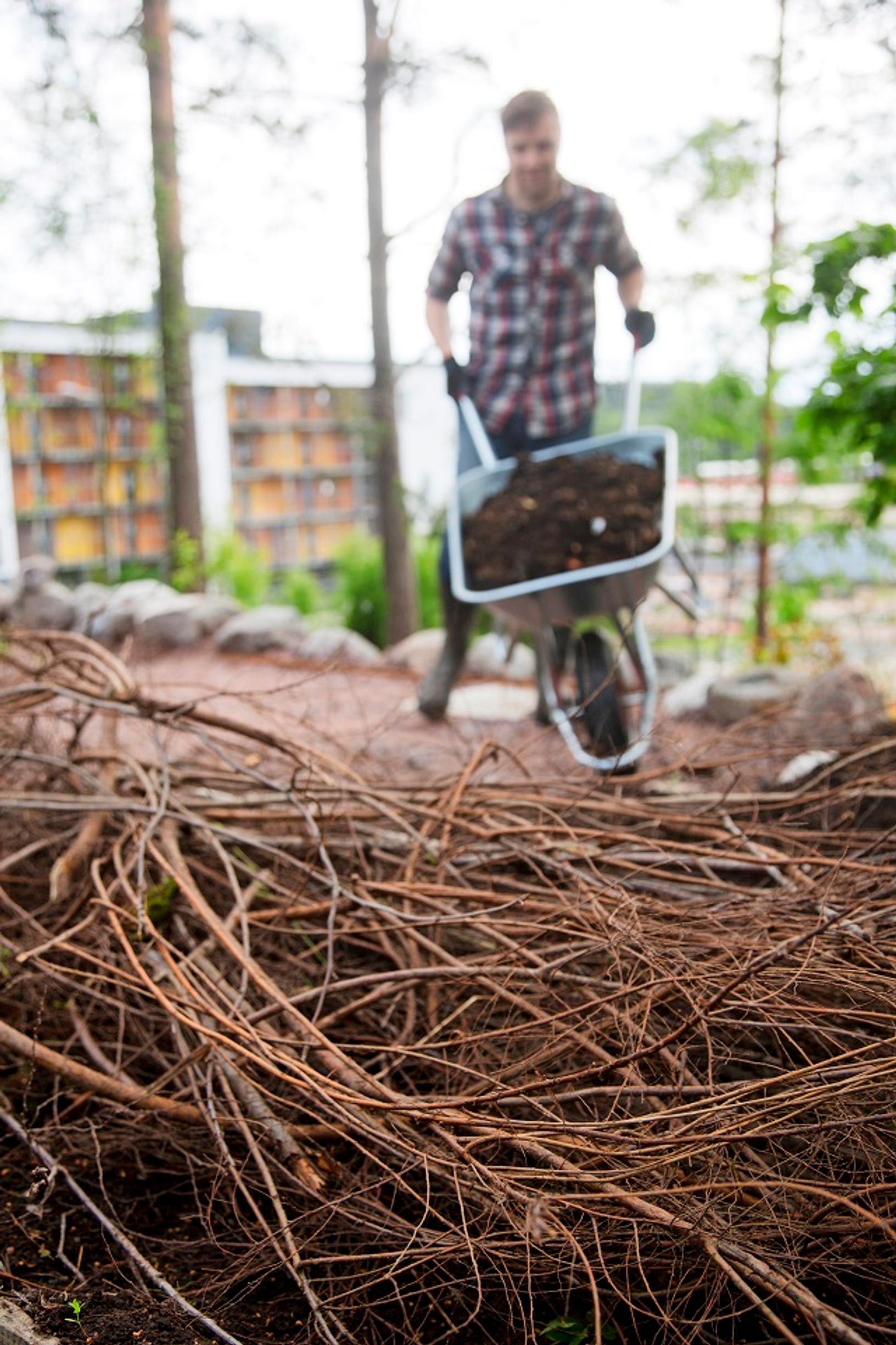 Twigs placed at the base of a raised bed.