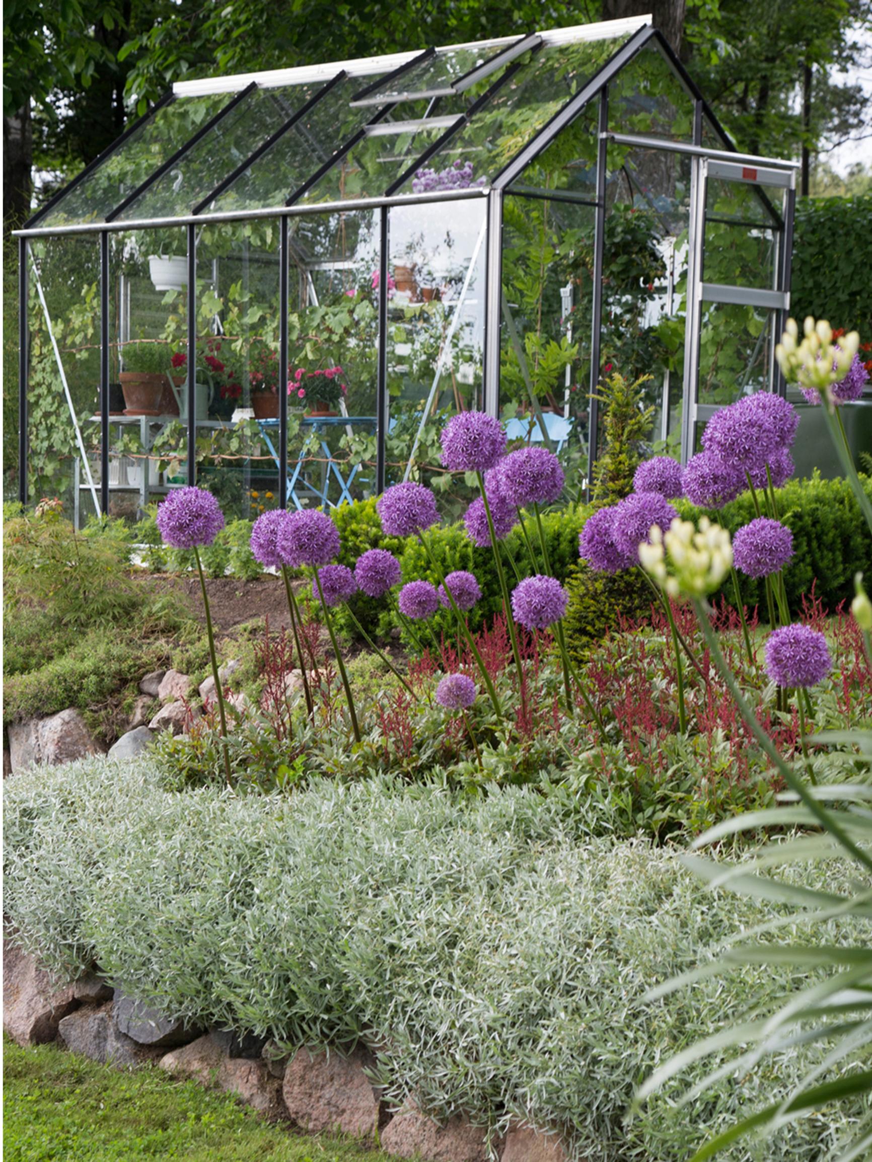 How to hide leaves, handle voles, and pot your alliums: 7 common questions answered