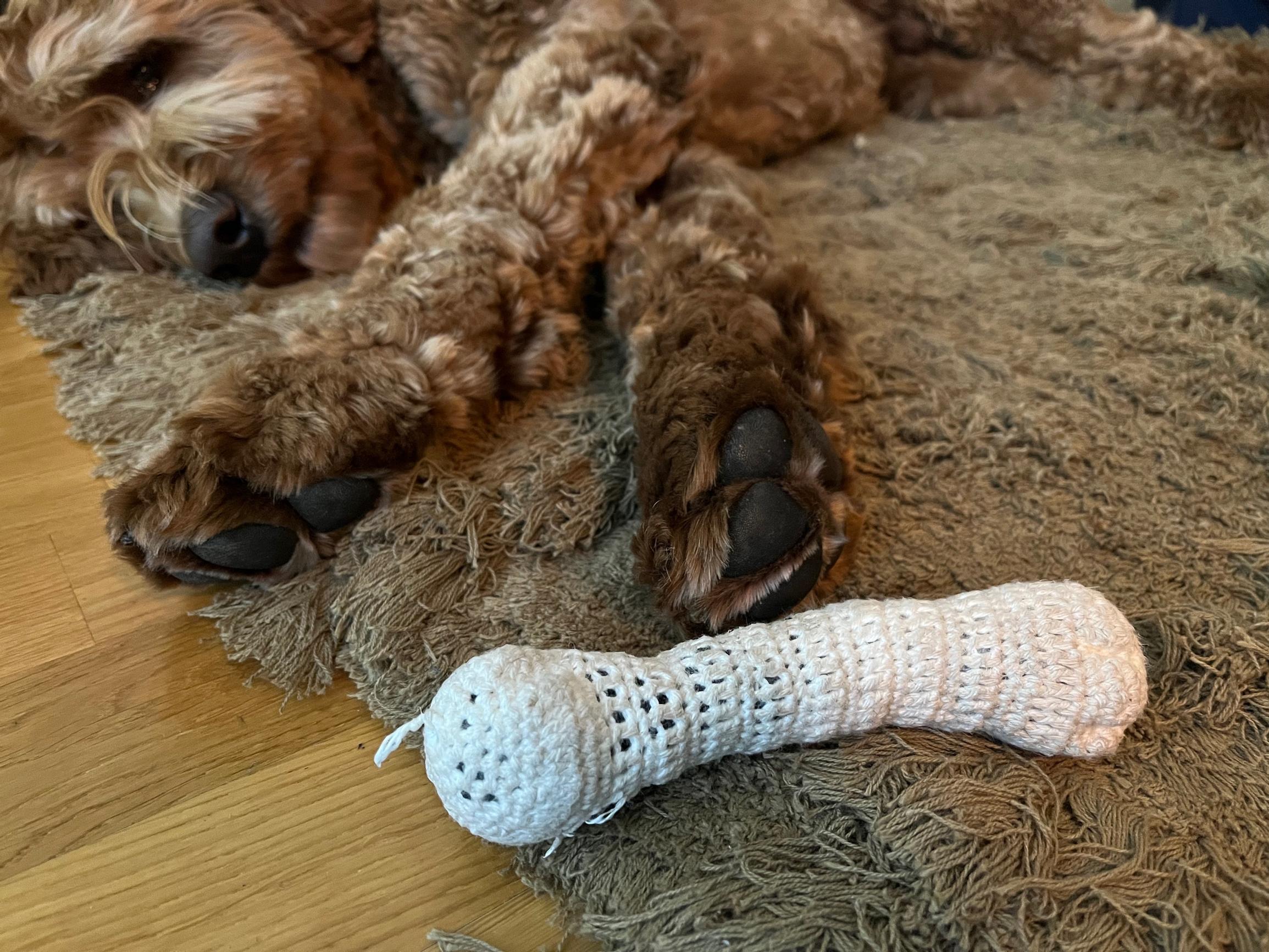Crocheted dog toy