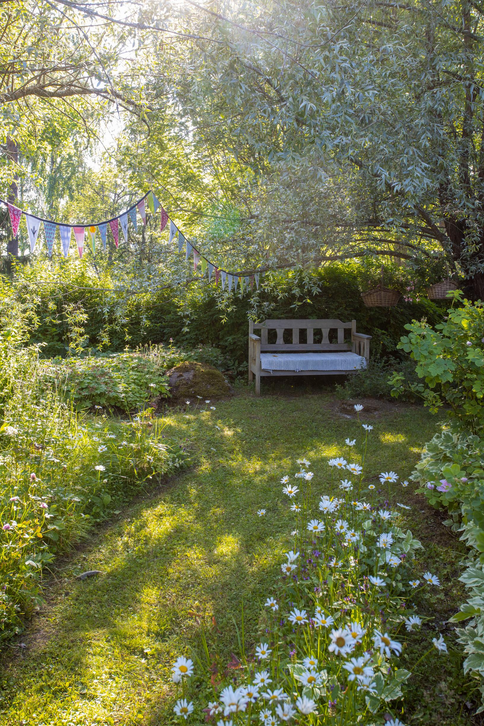 No-dig meadow