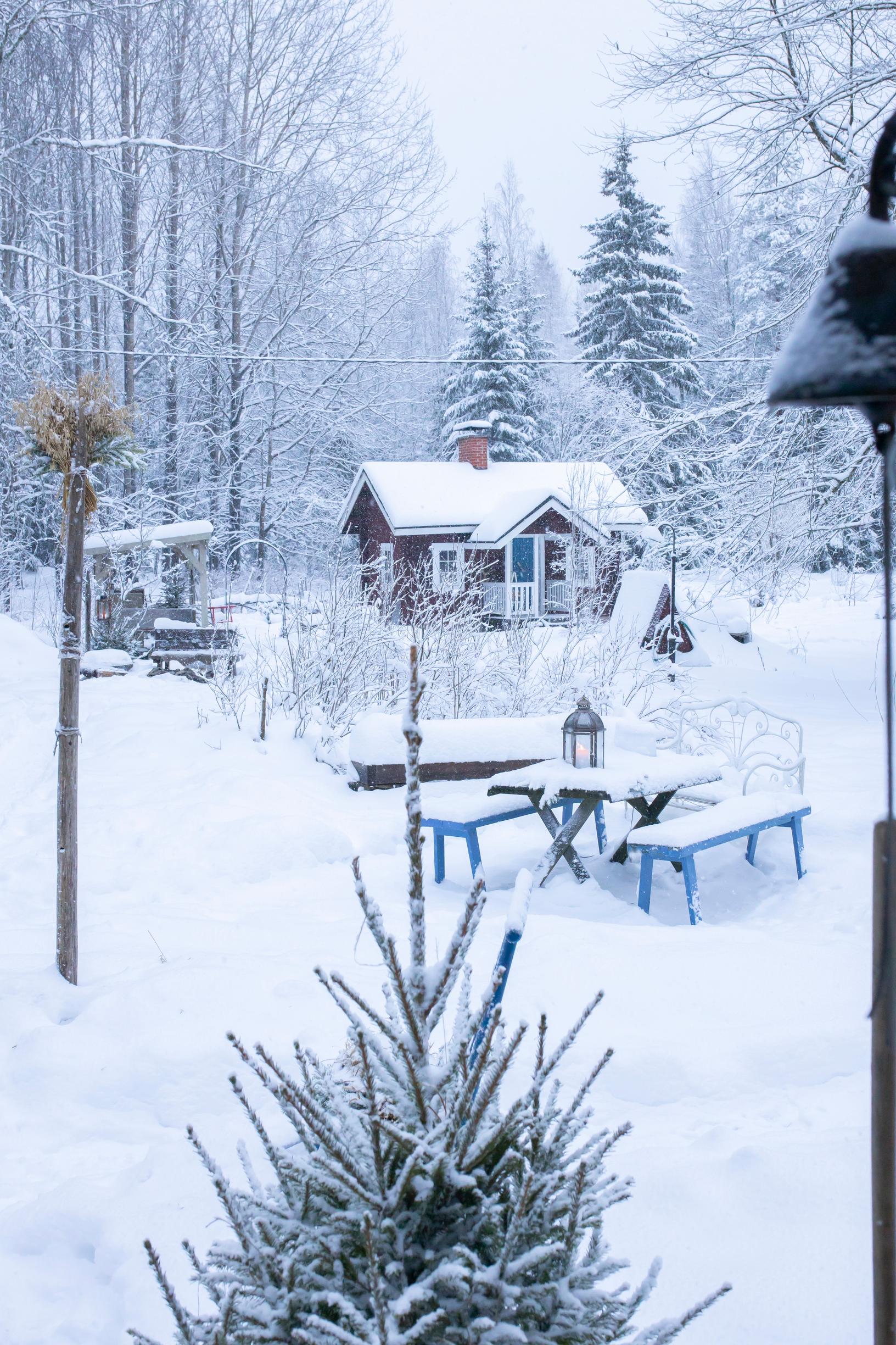A cottage, a table set, and a Christmas tree in winter.