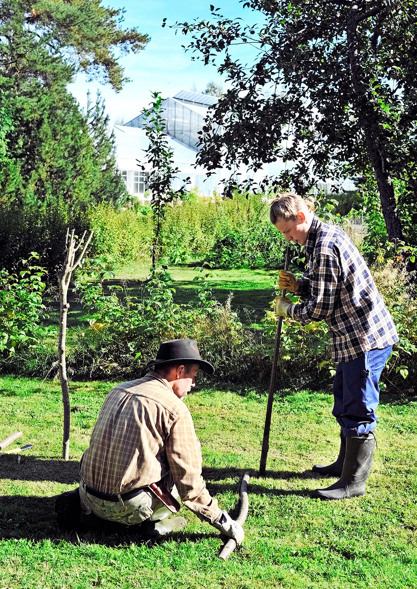 Designing the brush fence