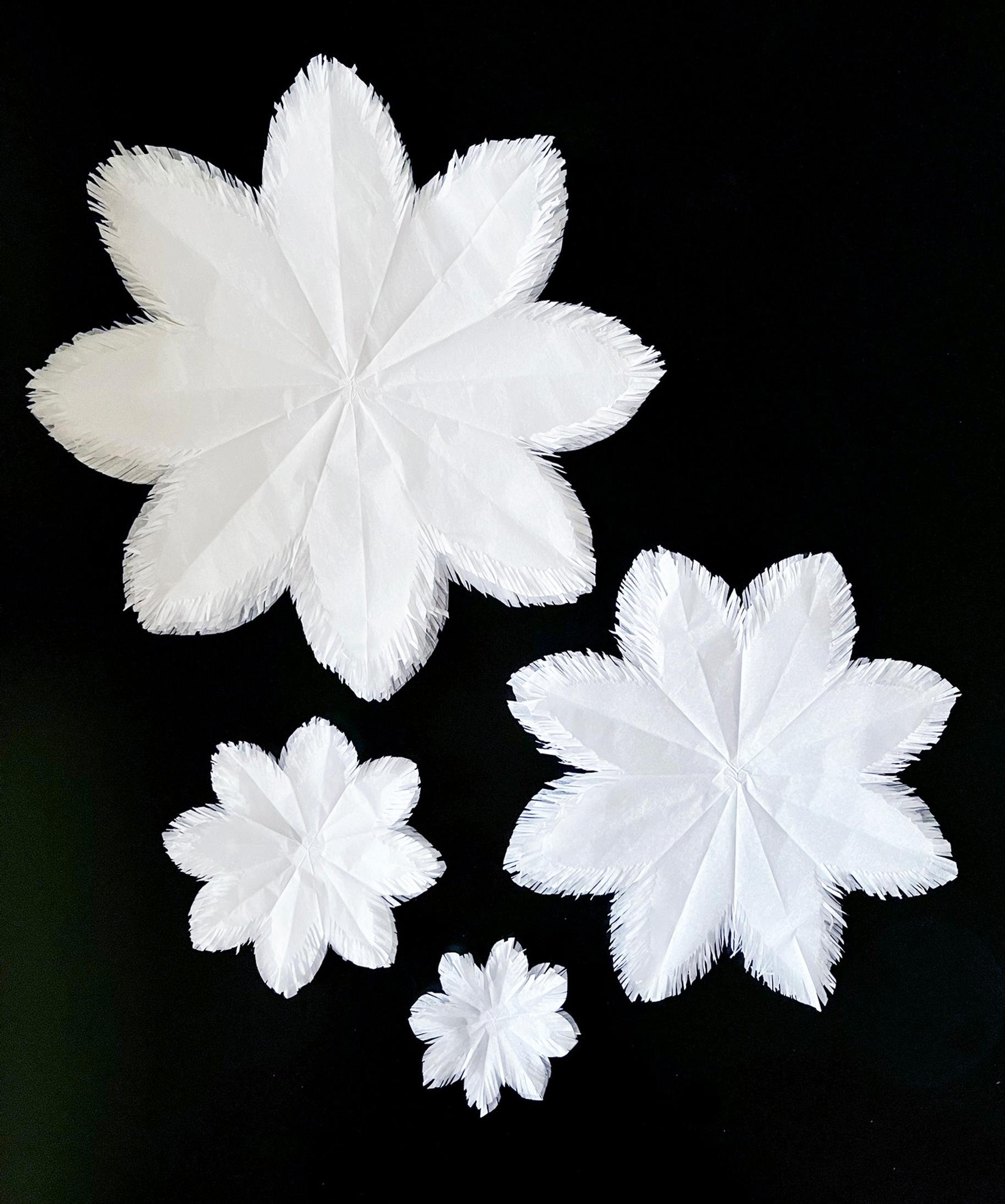 Different-sized stars needed for the fringe star