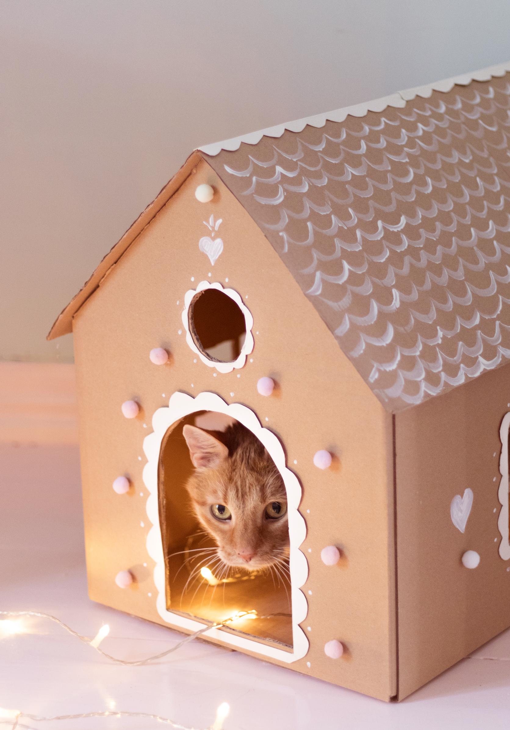 A cat peeks out of a cardboard gingerbread house