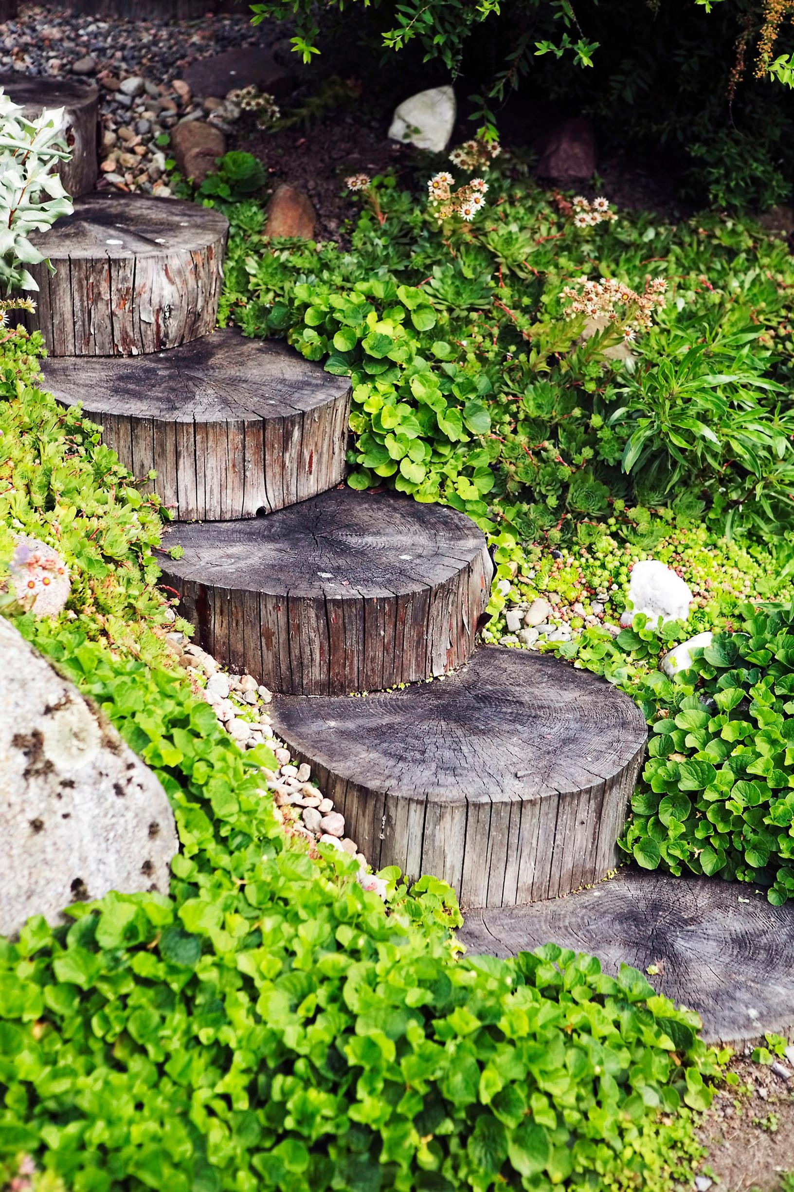 Steps in the garden: garden steps made of wood discs