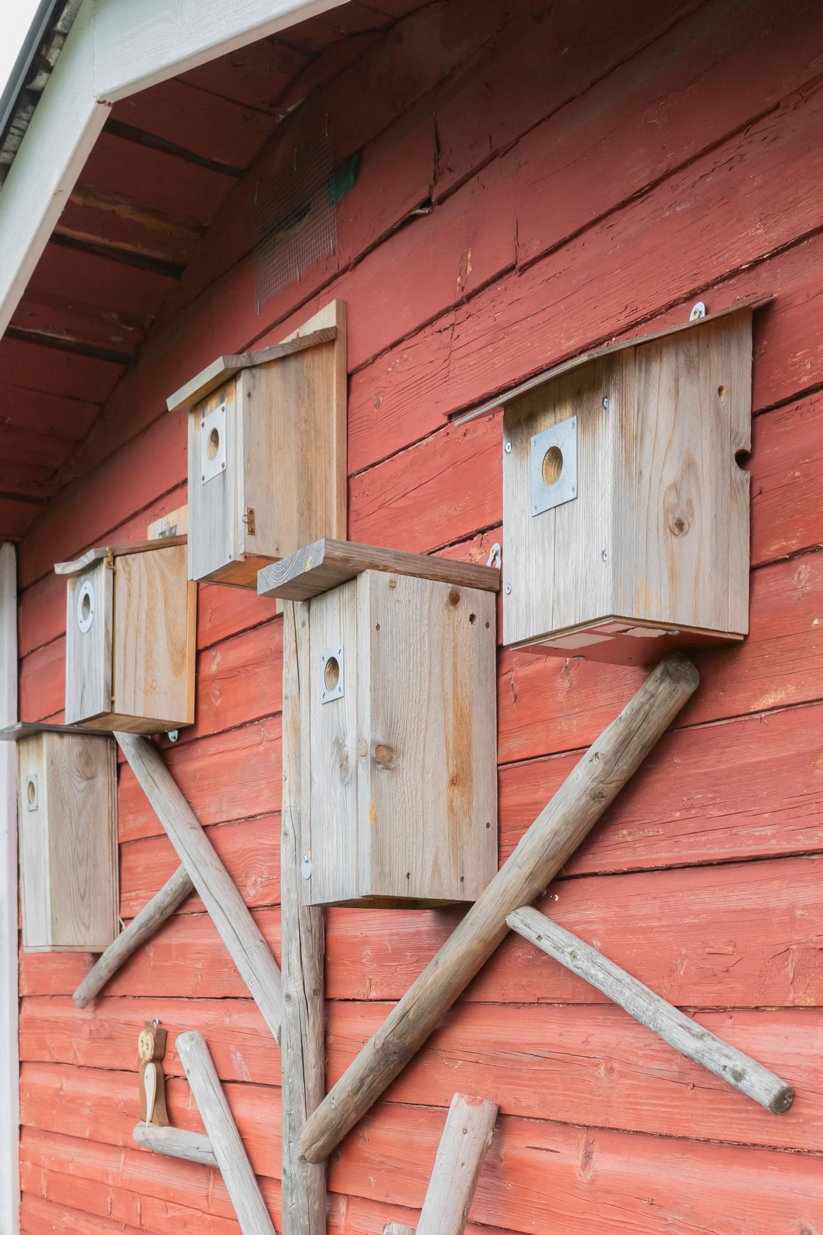 untreated birdhouses on a red wall