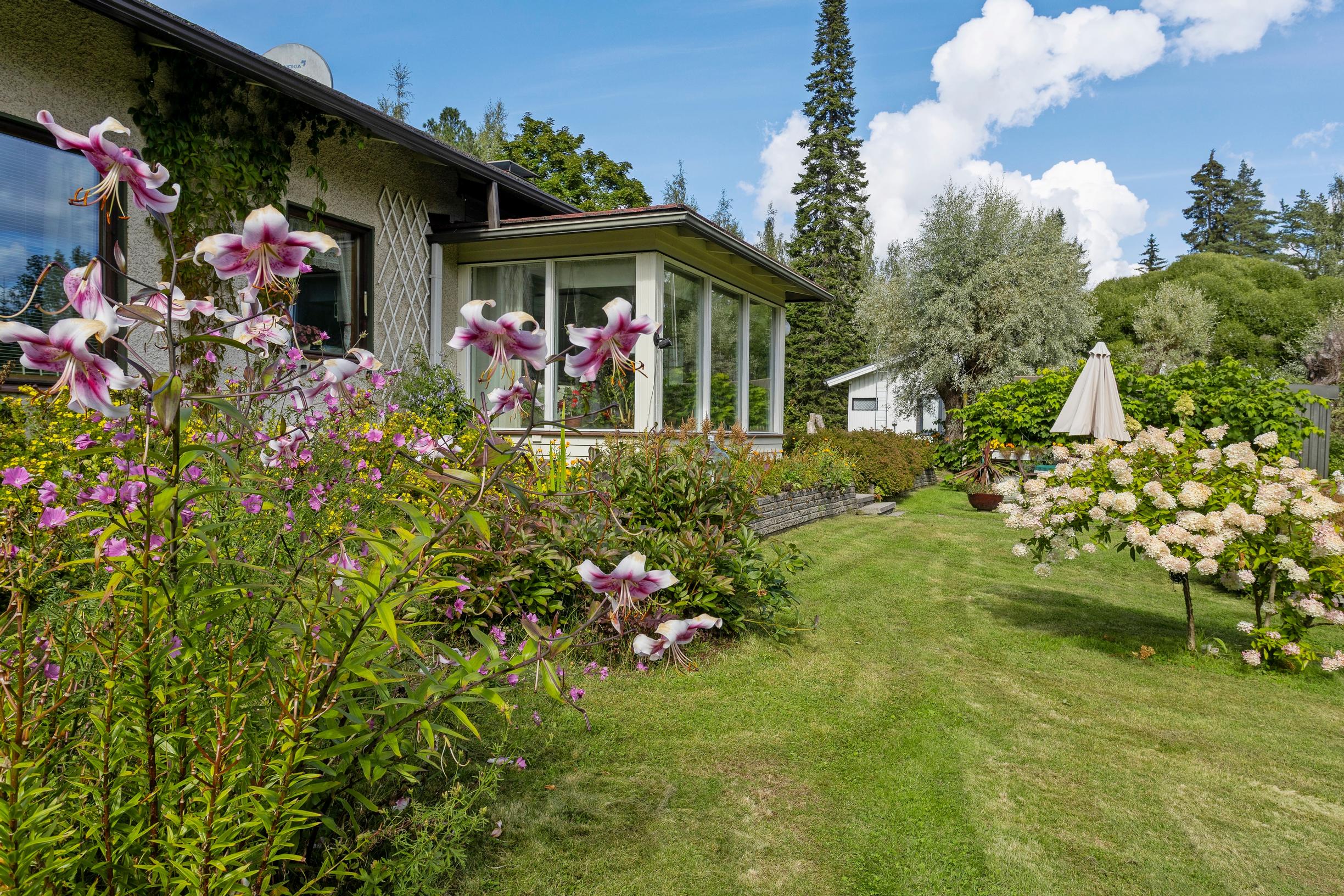 A 100-year-old veteran’s garden
