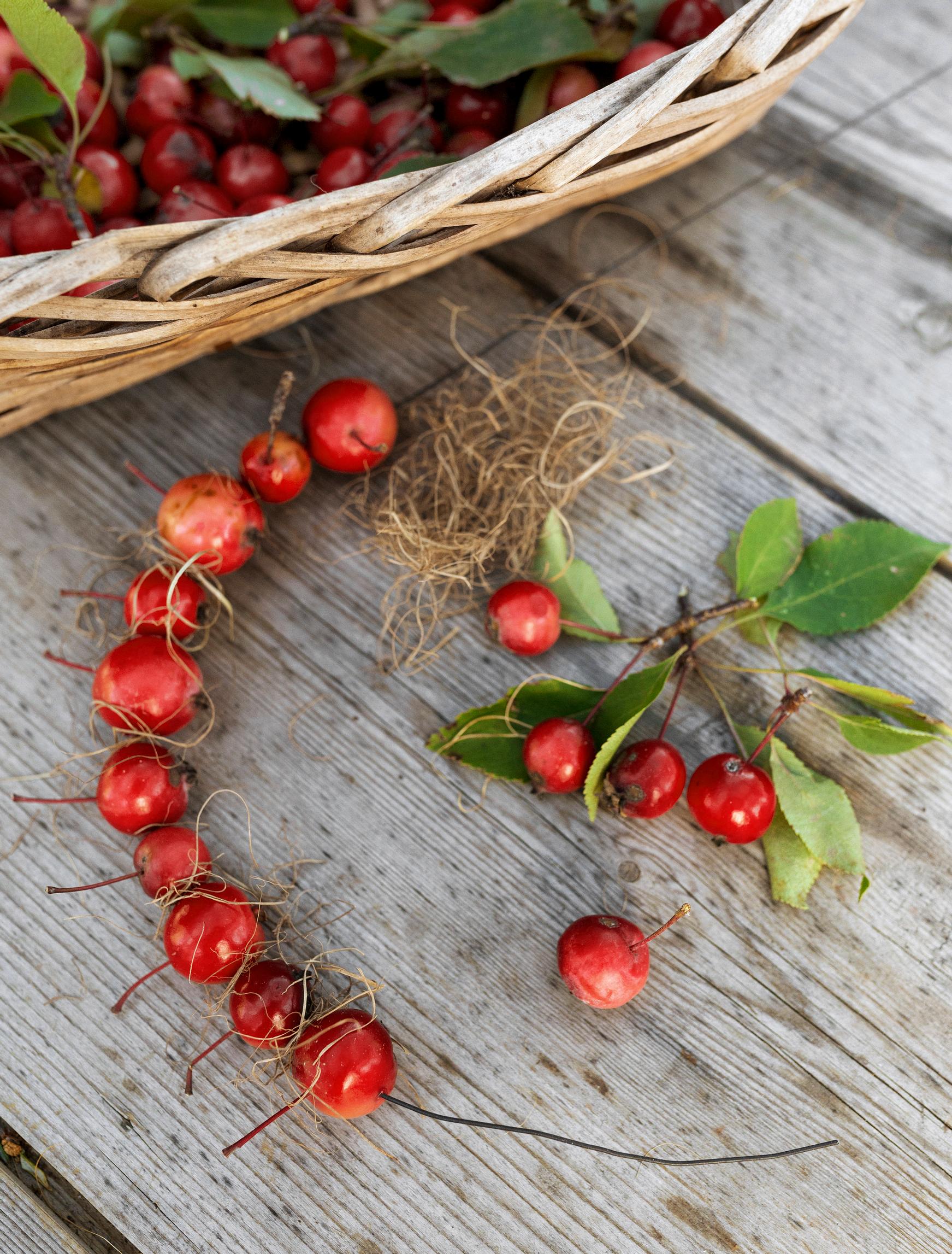 ornamental apple wreath