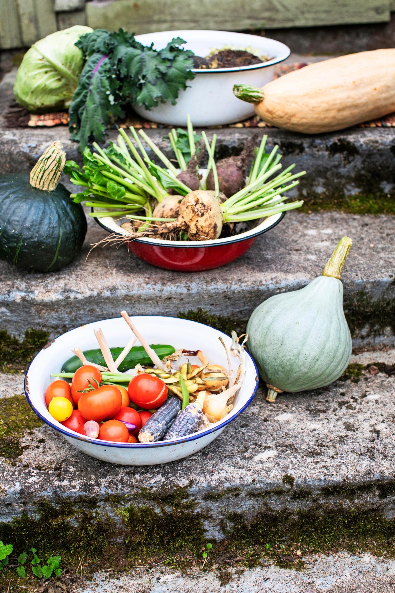 vegan garden
