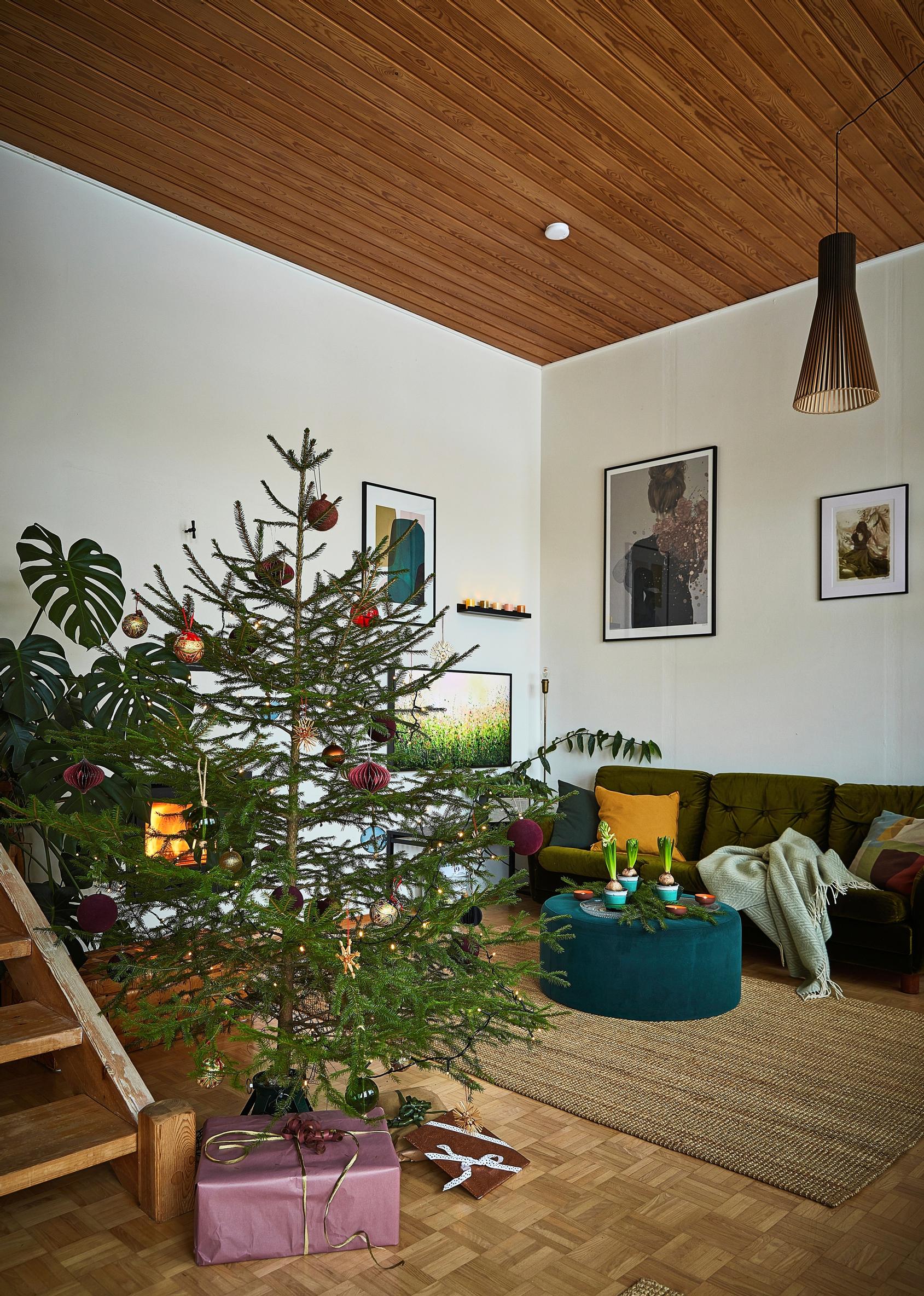 Christmas tree and the tall living room.