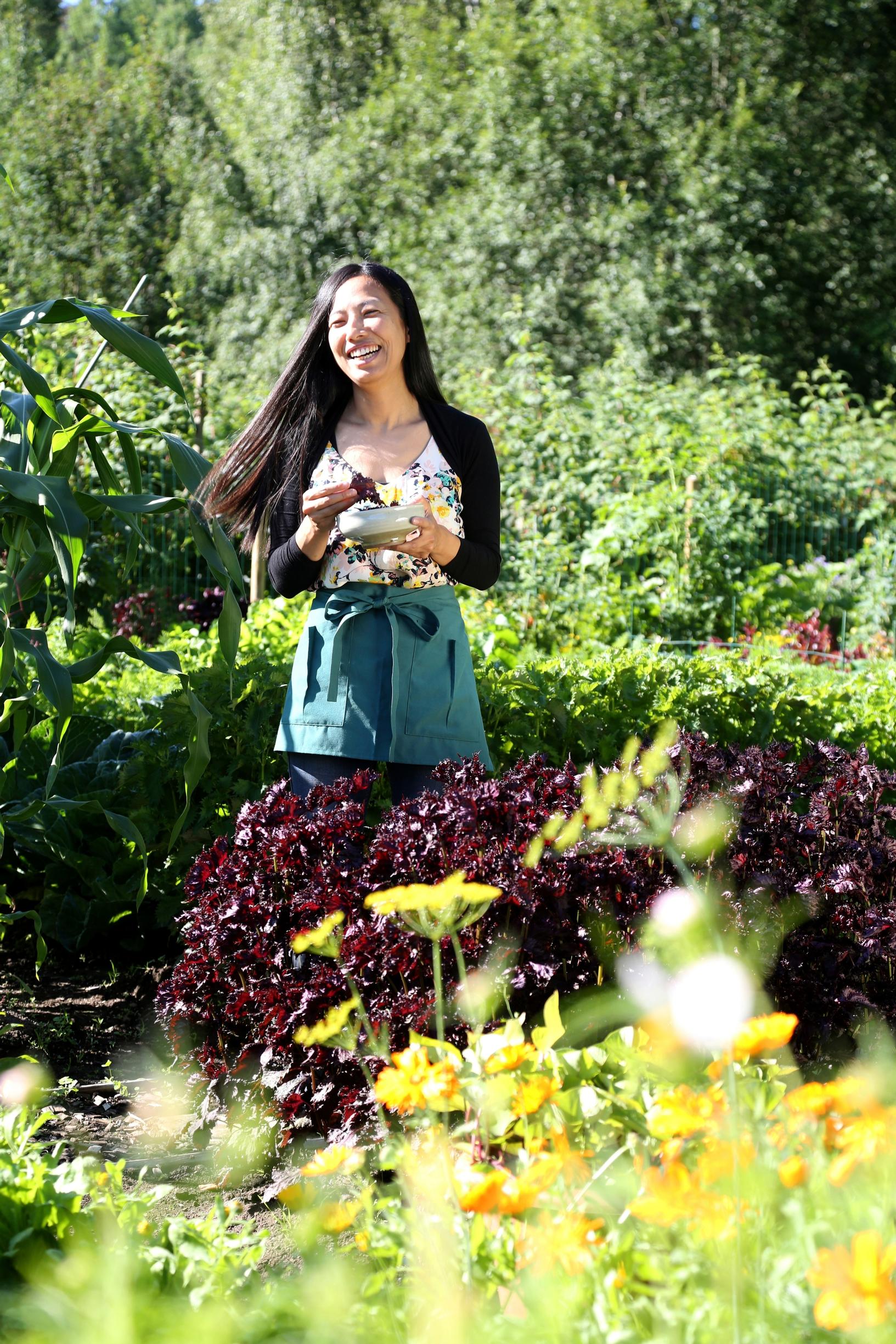 Kanako and red shiso herb shrubs on the allotment