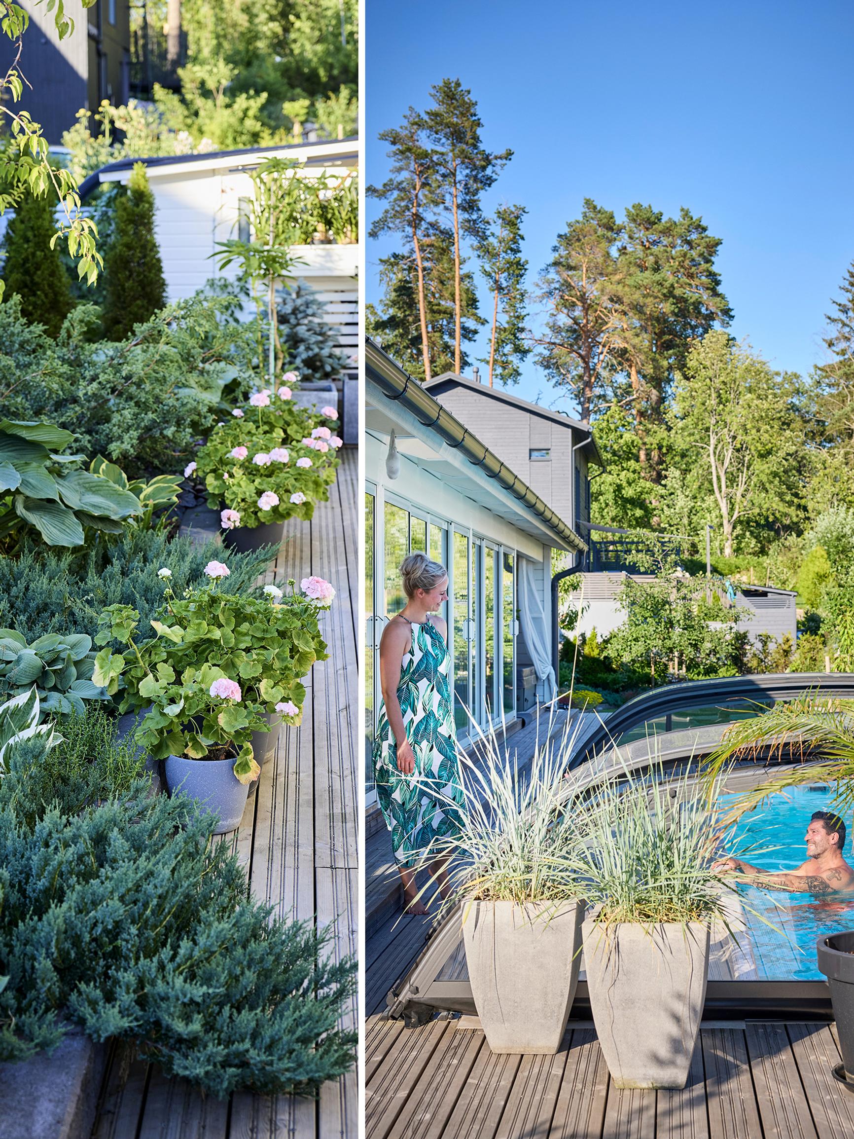 This 500-square-meter yard has room for everything: a swimming pool, a summer kitchen, a functional garden, and stunning planting areas