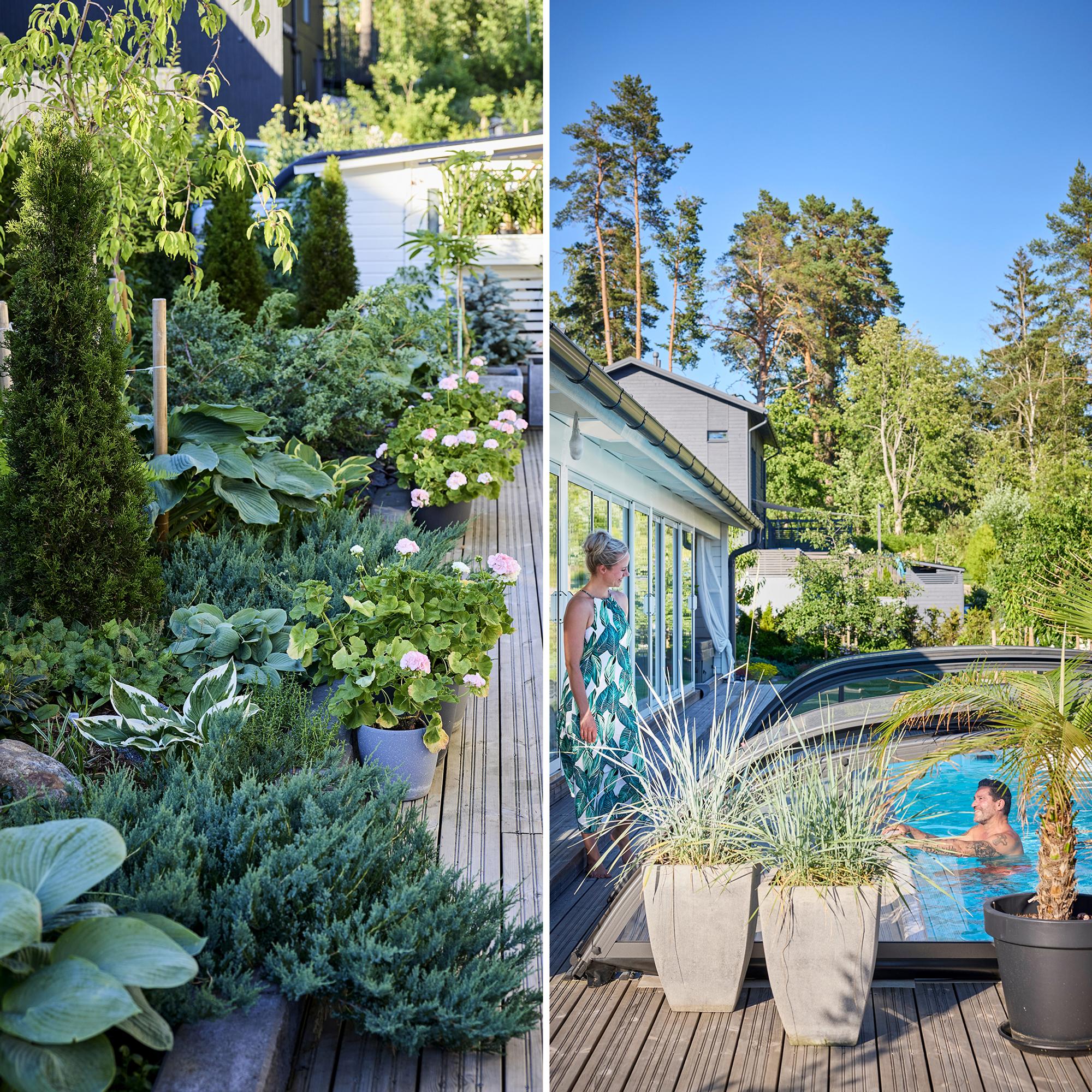 This 500-square-meter yard has room for everything: a swimming pool, a summer kitchen, a functional garden, and stunning planting areas