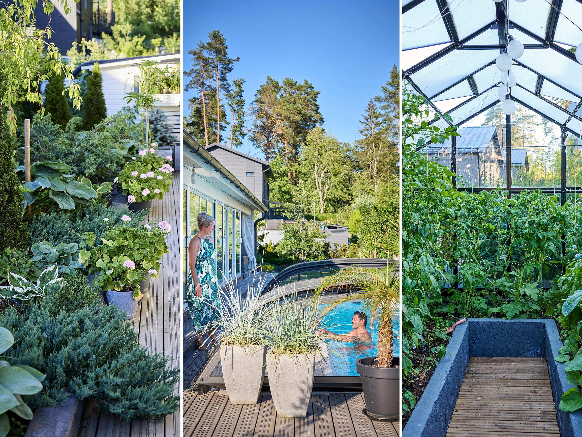 This 500-square-meter yard has room for everything: a swimming pool, a summer kitchen, a functional garden, and stunning planting areas