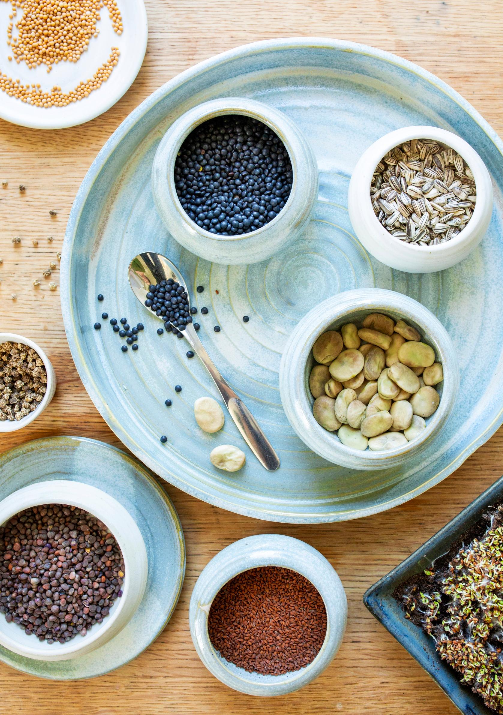 how to grow sprouts