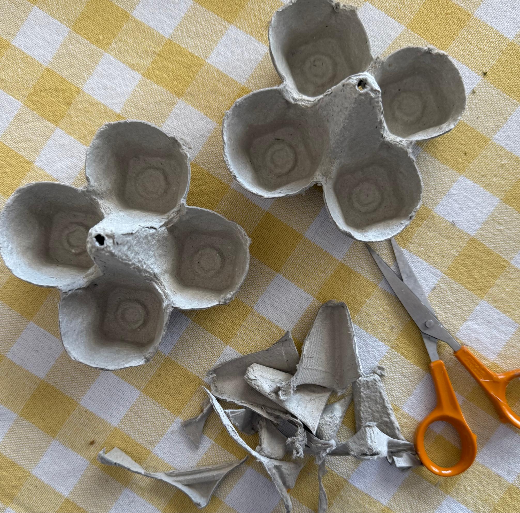 The egg carton has been cut into two pieces.