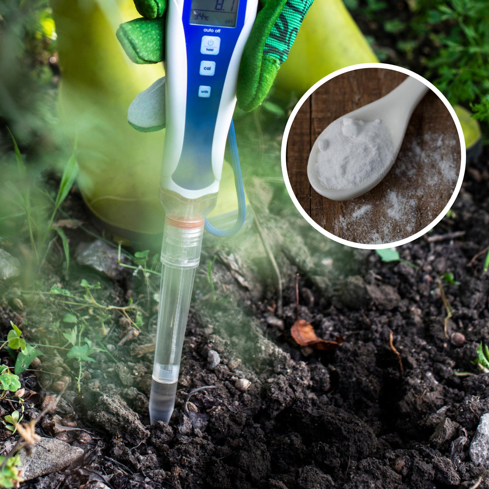 Is your soil acidic or alkaline? Easy DIY pH checks you can do at home