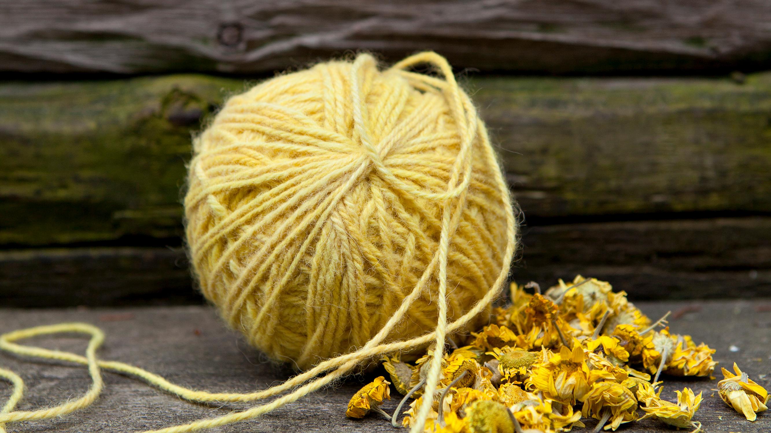 Dyeing with natural colors: how to get stunning shades from plants and mushrooms!