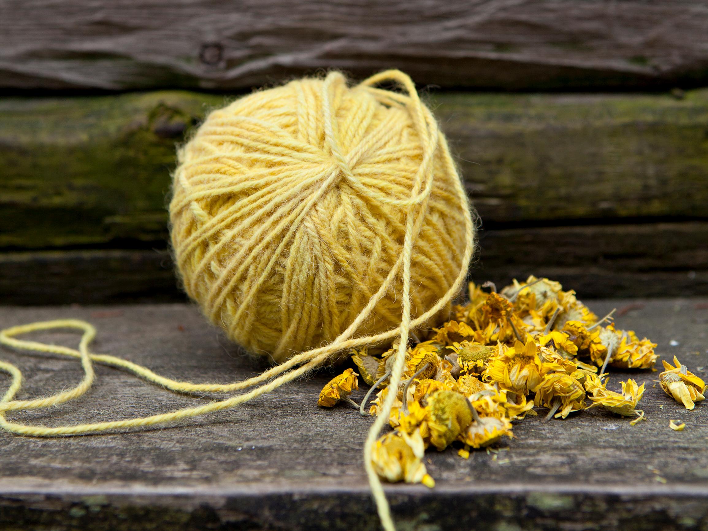 Dyeing with natural colors: how to get stunning shades from plants and mushrooms!