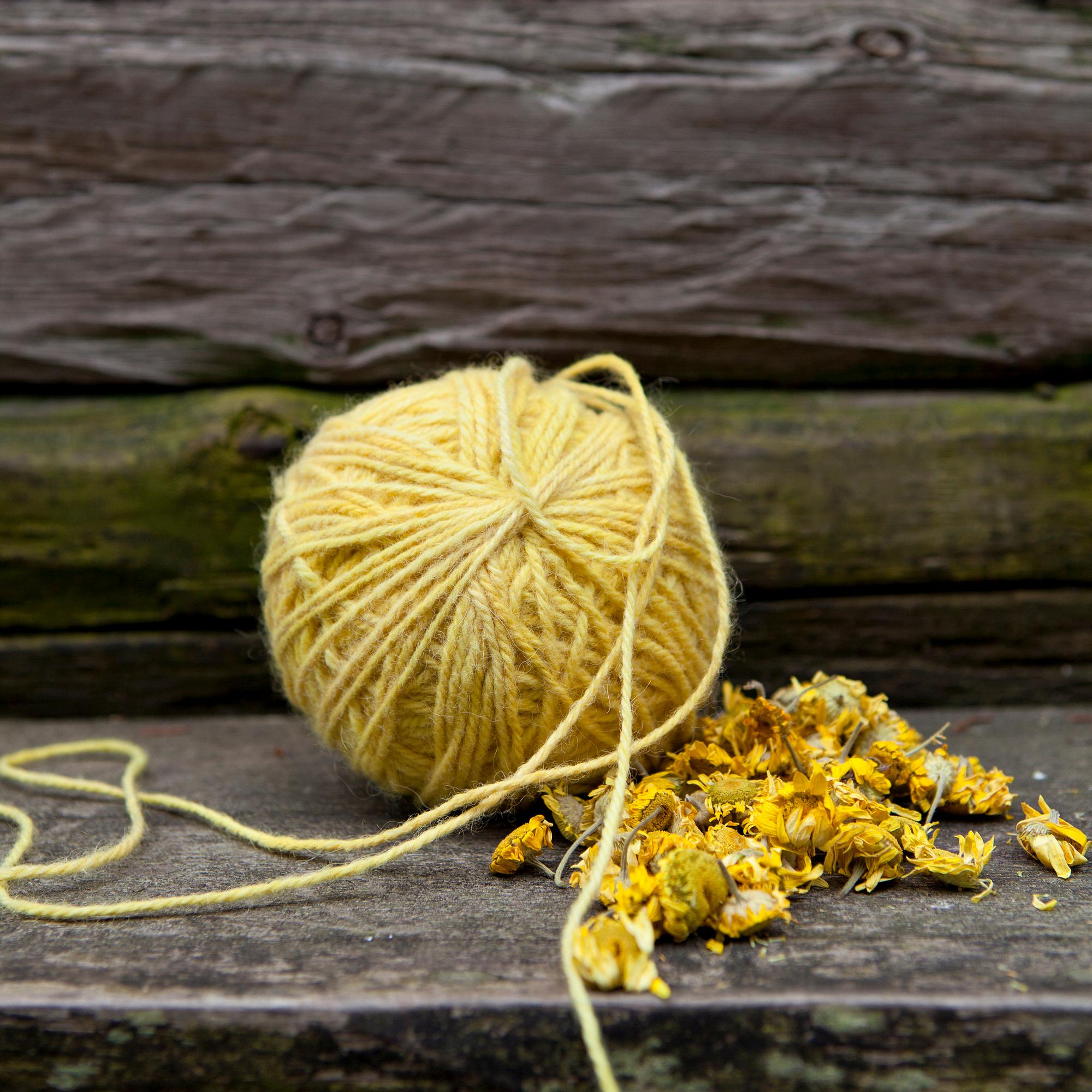 Dyeing with natural colors: how to get stunning shades from plants and mushrooms!