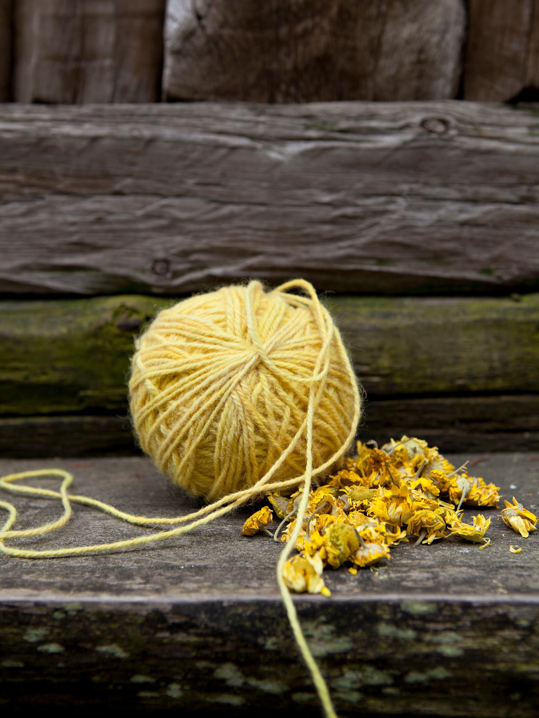 Dyeing with natural colors: how to get stunning shades from plants and mushrooms!