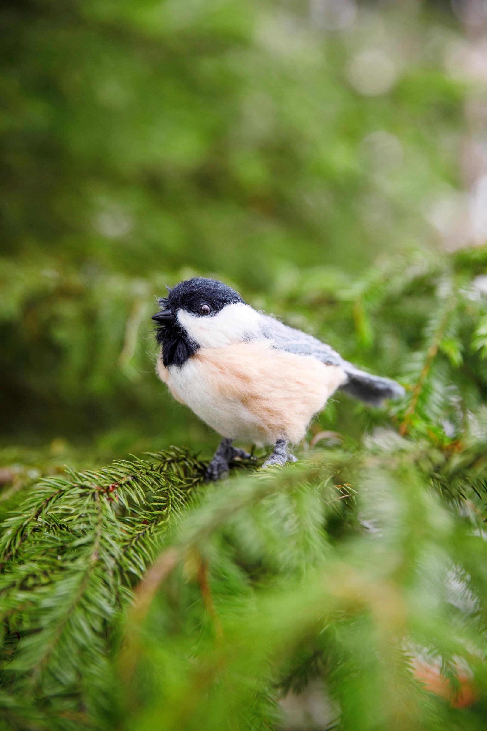 A willow tit felted by Mirjami.