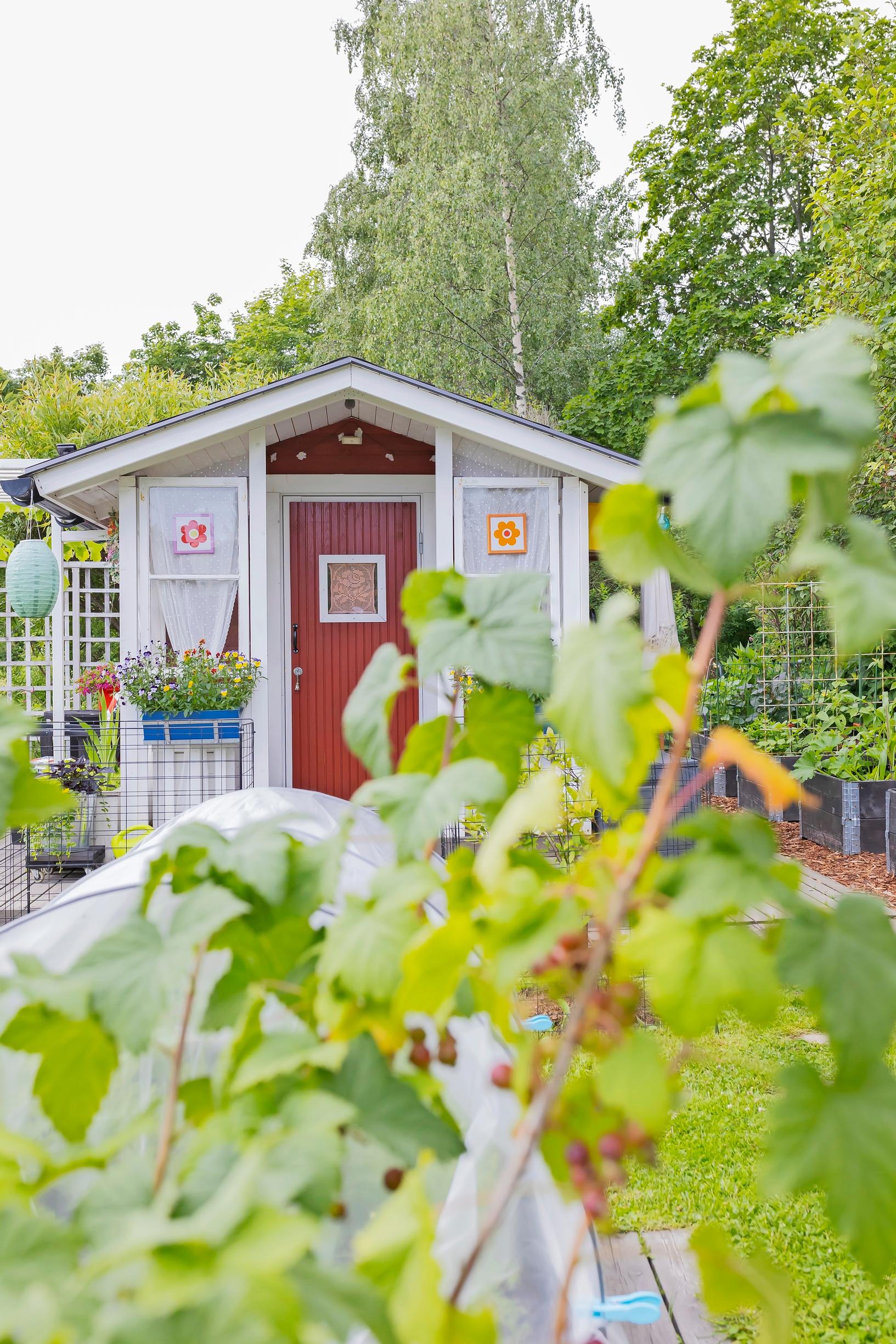 a red playhouse and berry bushes