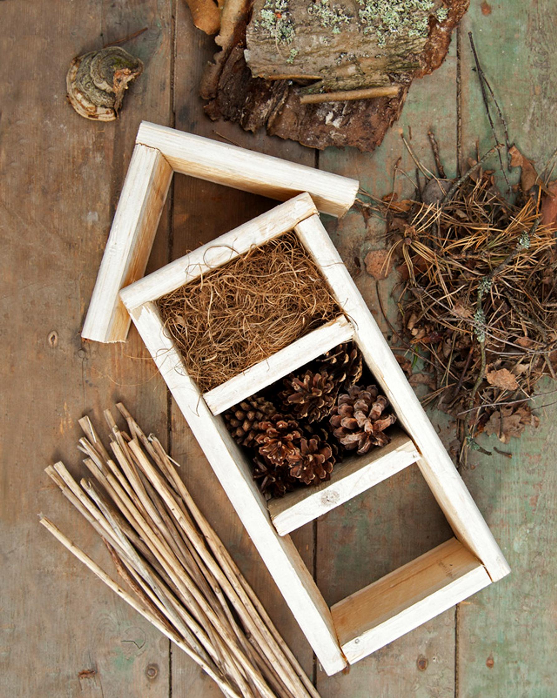 insect hotel: the frame