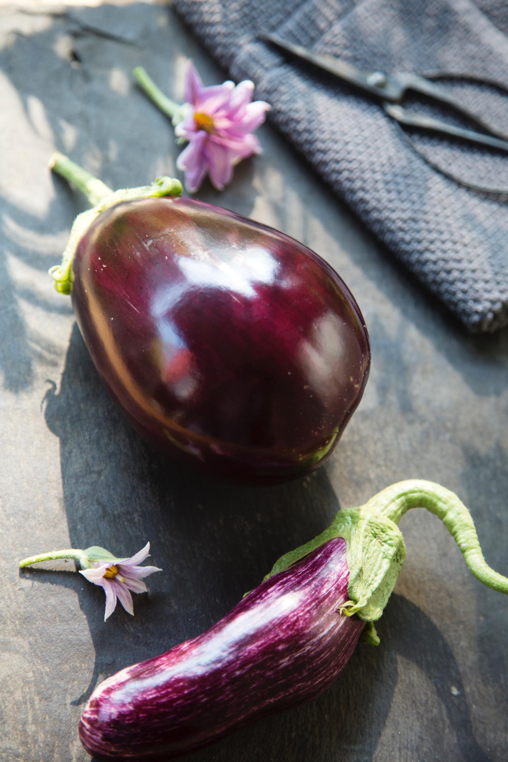 Ripe eggplants