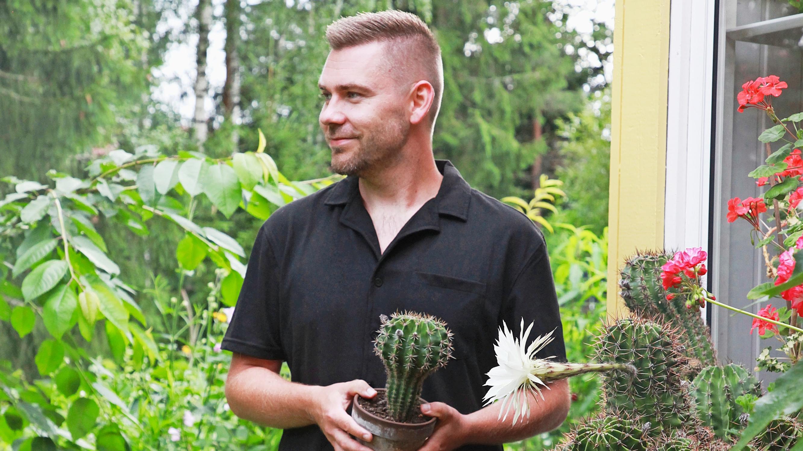 Jussi tends dozens of cacti with grill tongs: “Each hedgehog cactus is a rugged, lumpy character”