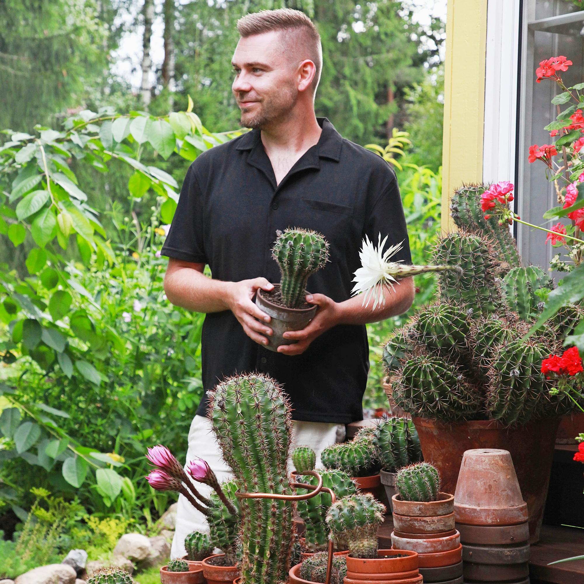 Jussi tends dozens of cacti with grill tongs: “Each hedgehog cactus is a rugged, lumpy character”